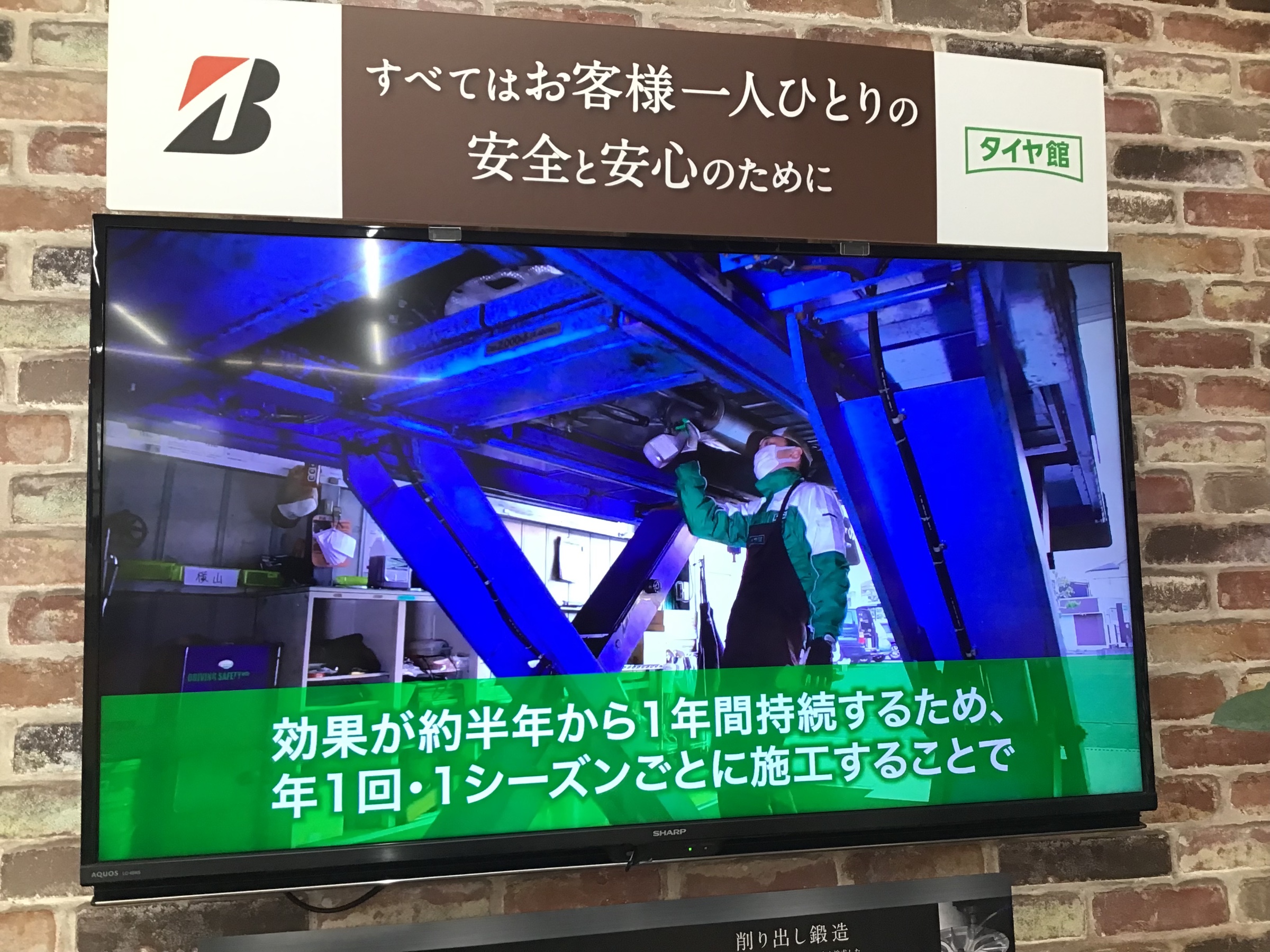 スタッフ撮影です