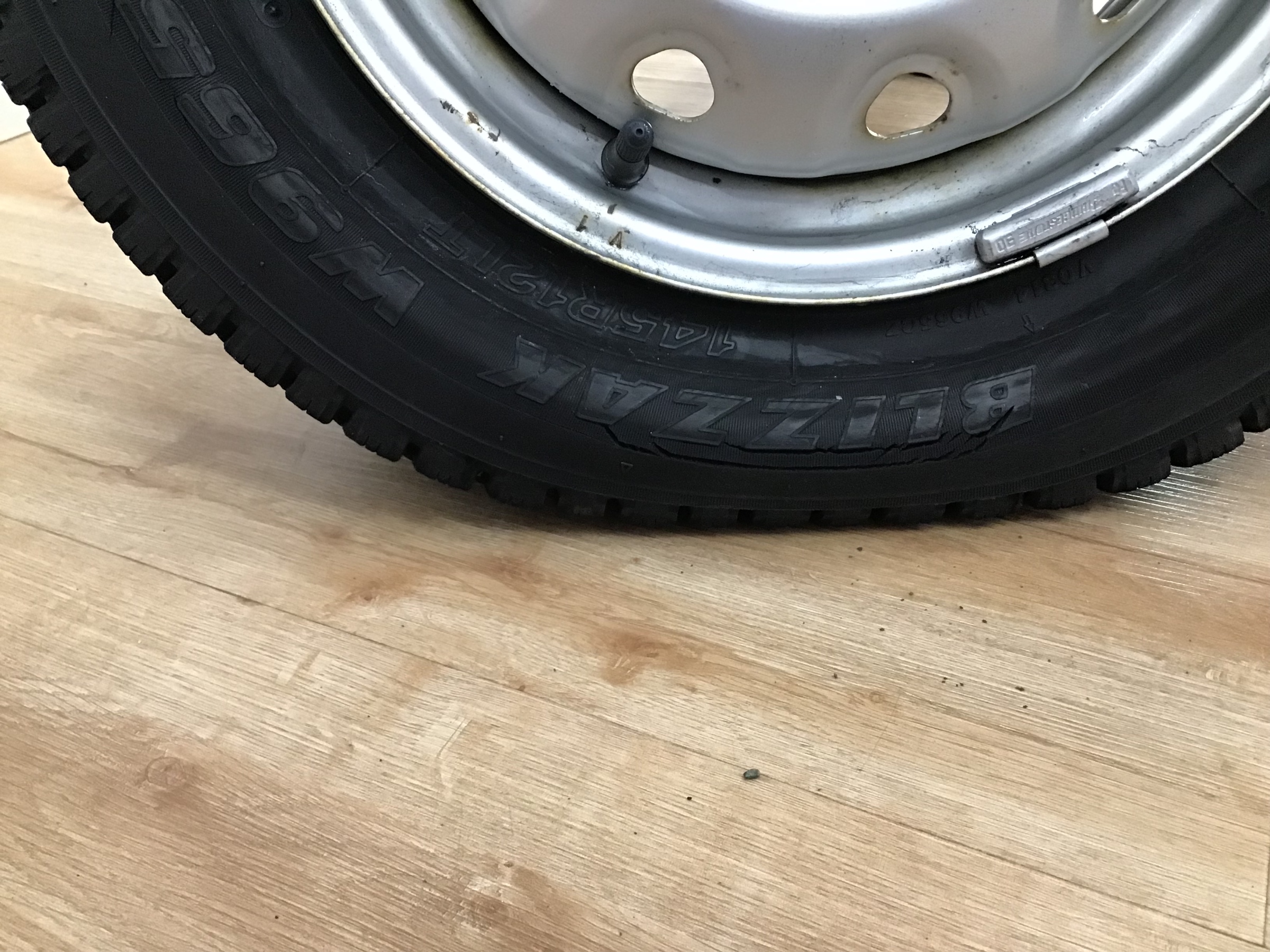 スタッフ撮影です