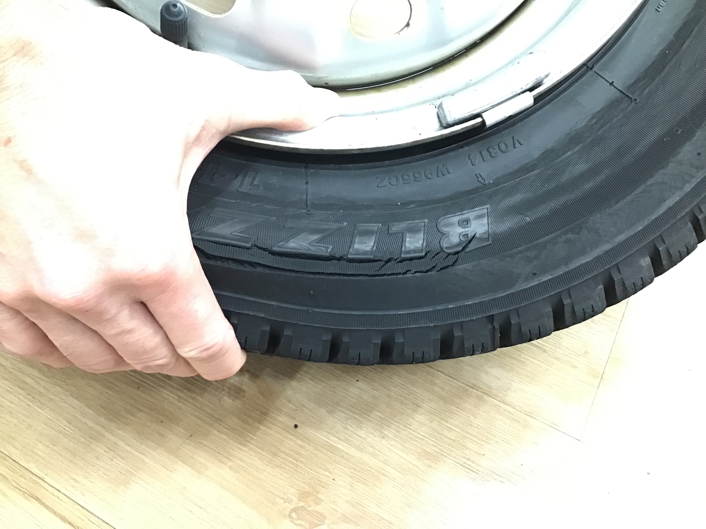 スタッフ撮影です