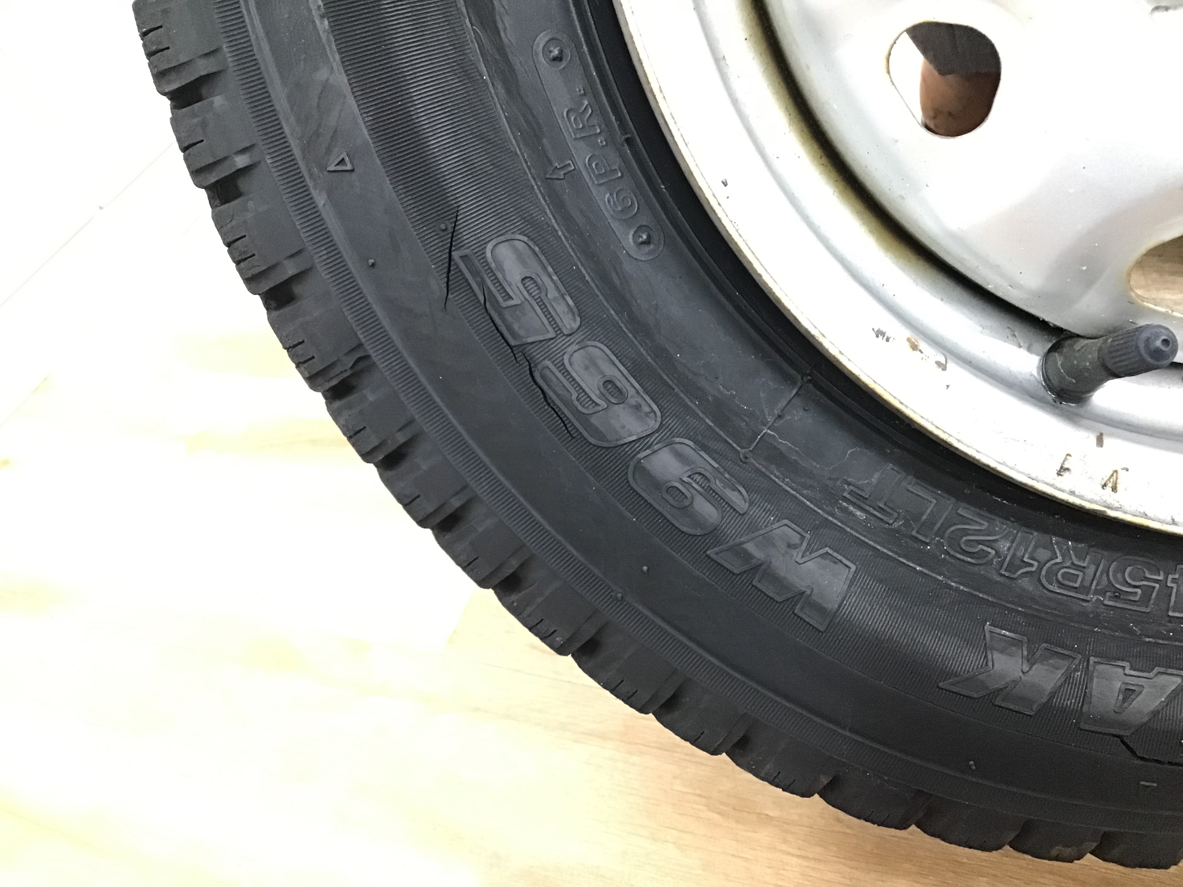 スタッフ撮影です