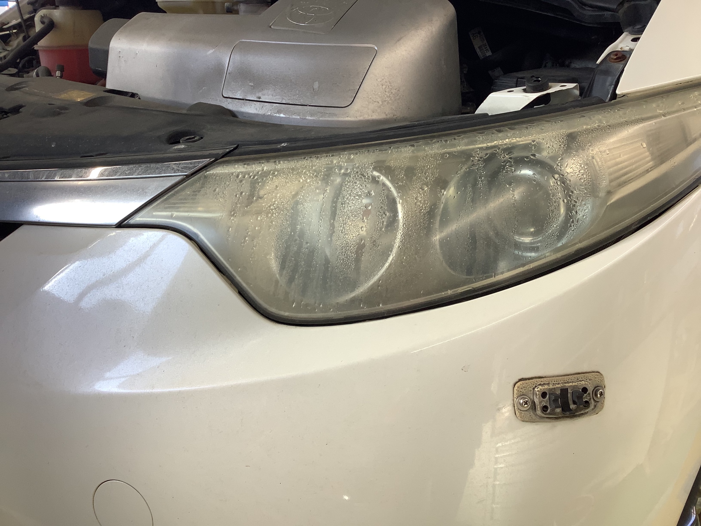 スタッフ撮影です