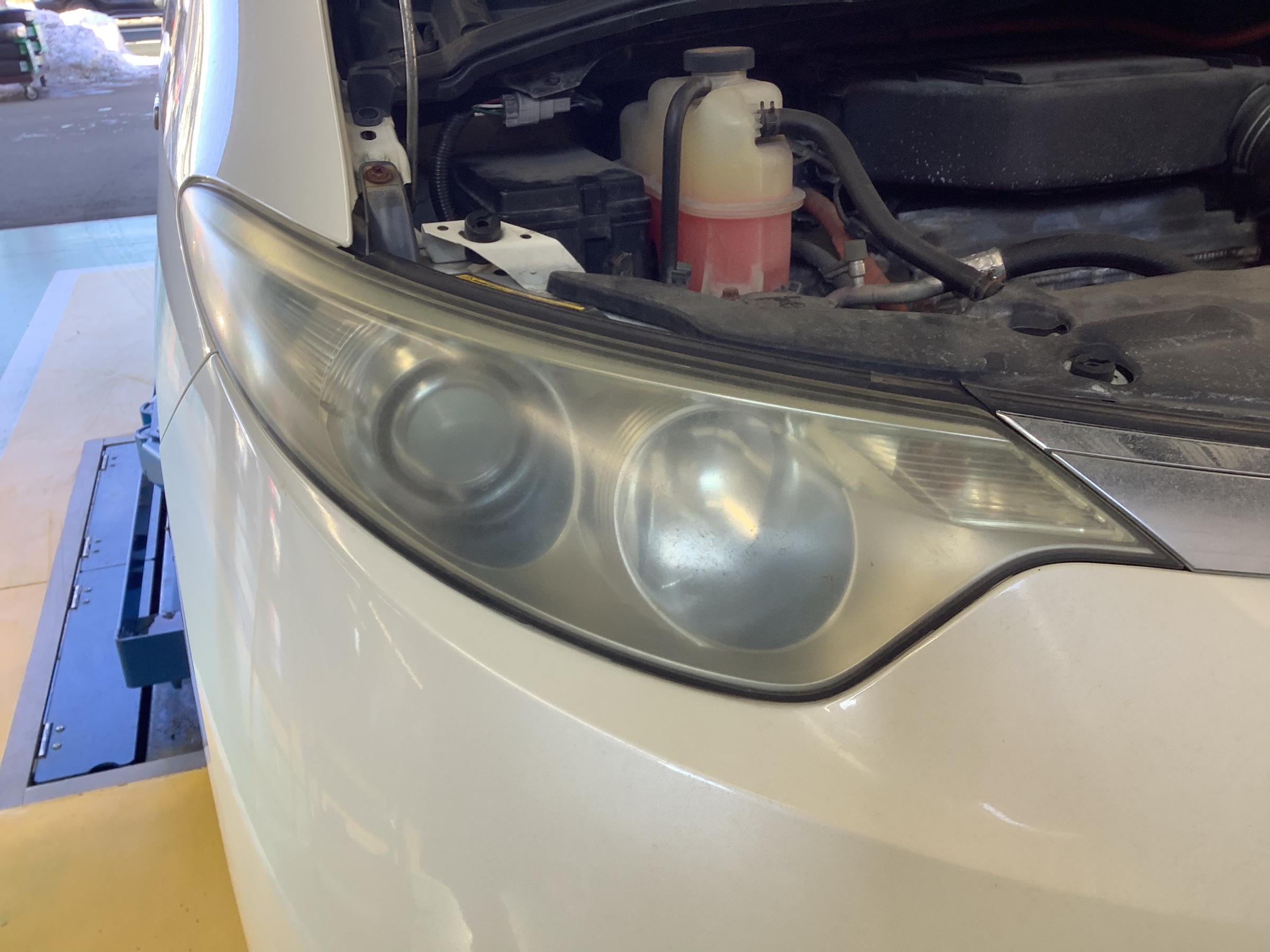 スタッフ撮影です