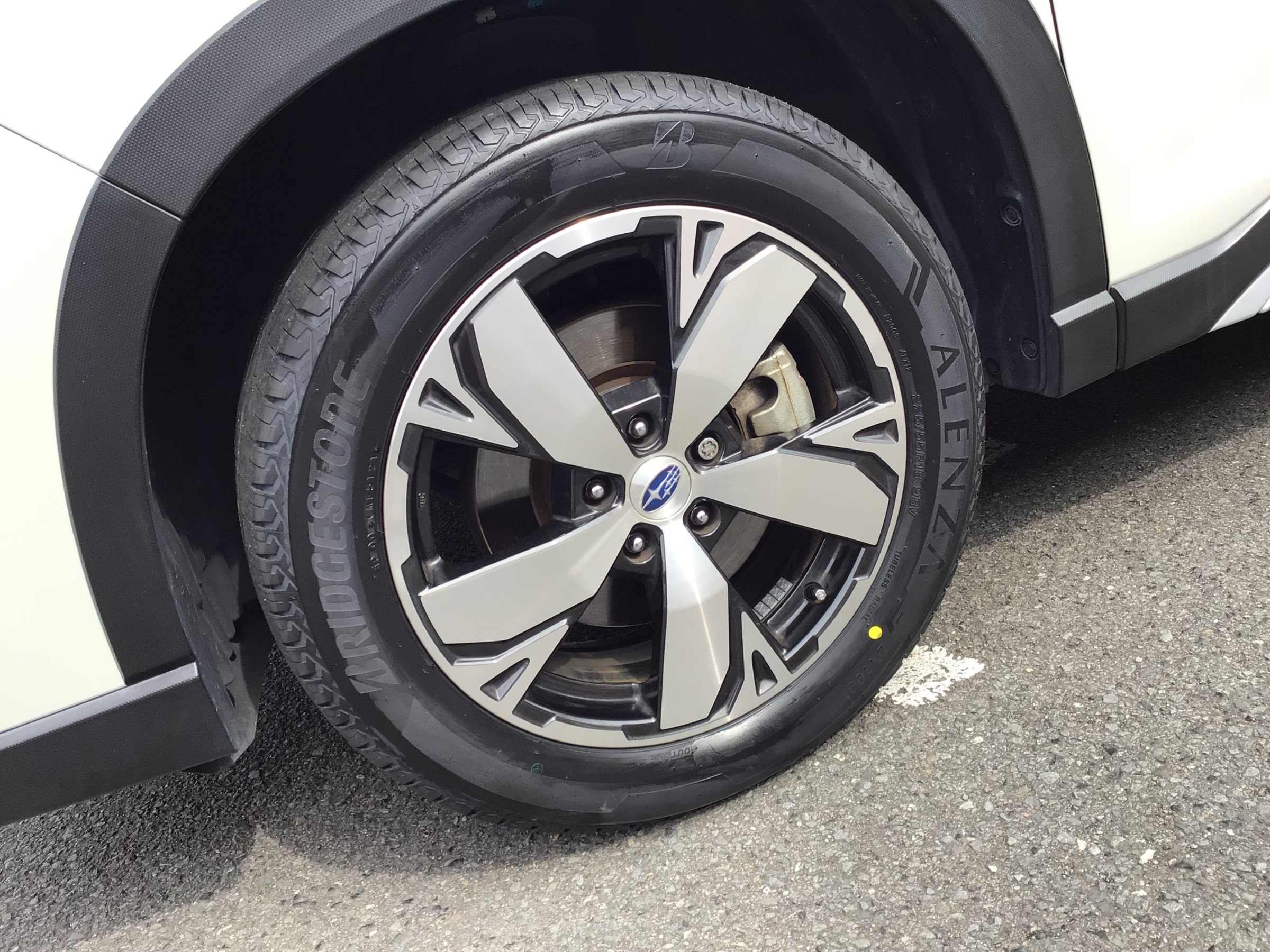 スタッフ撮影分