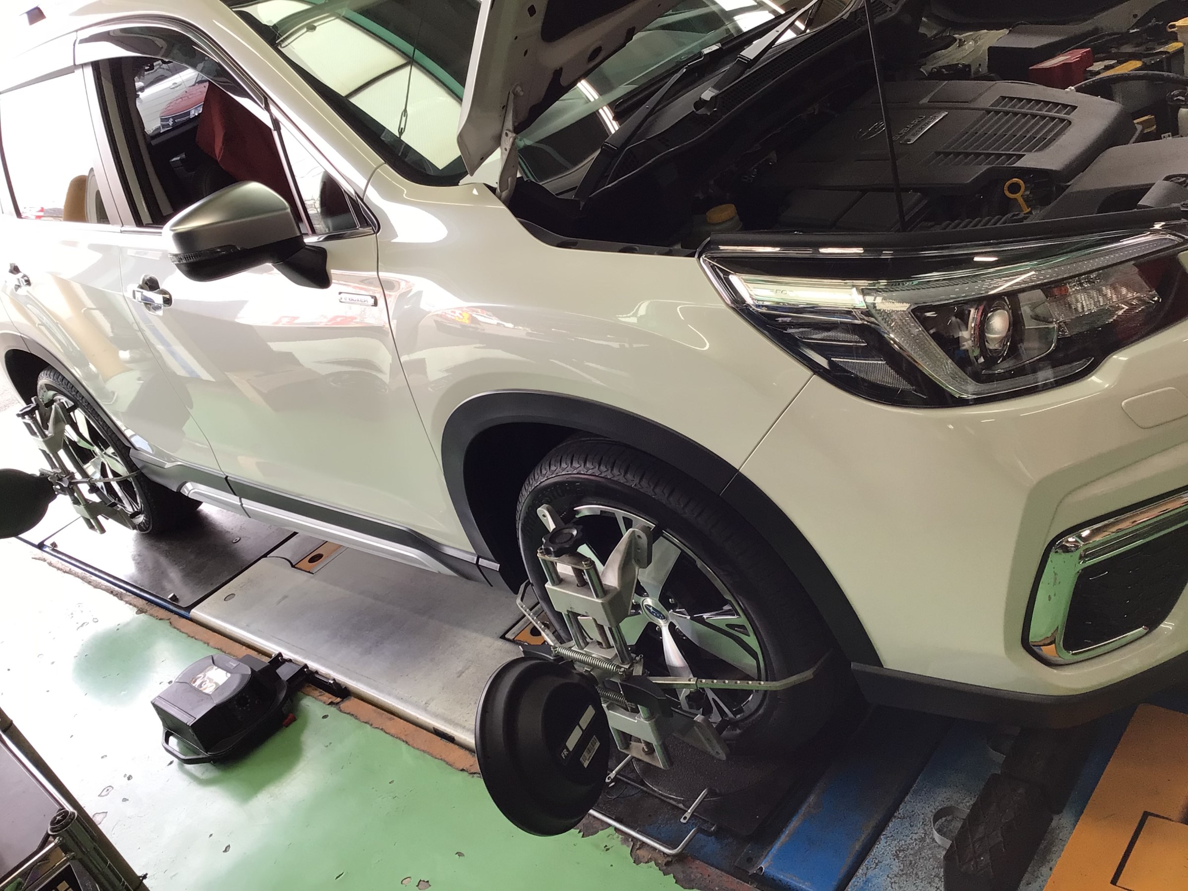 スタッフ撮影分