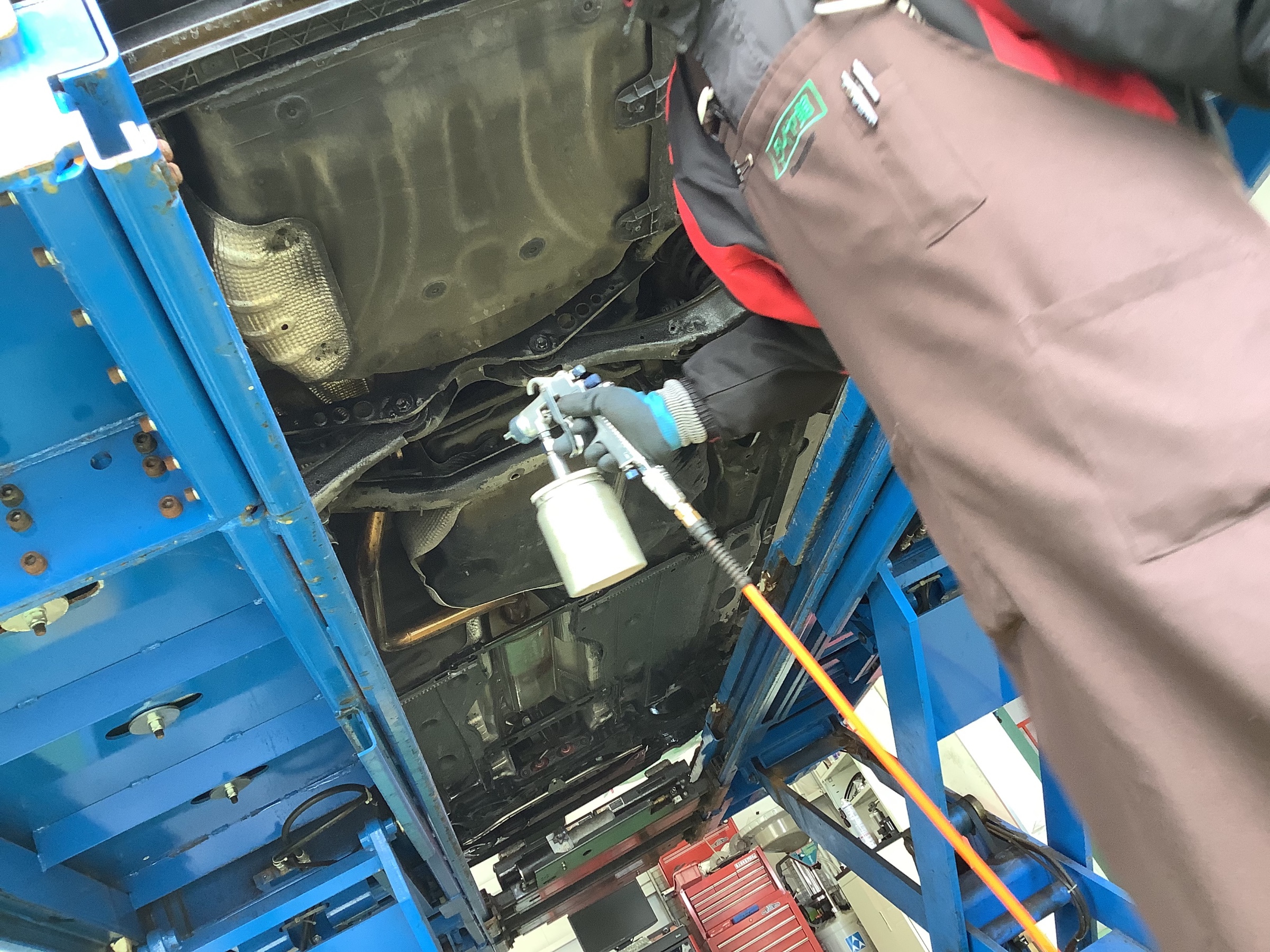 スタッフ撮影です。