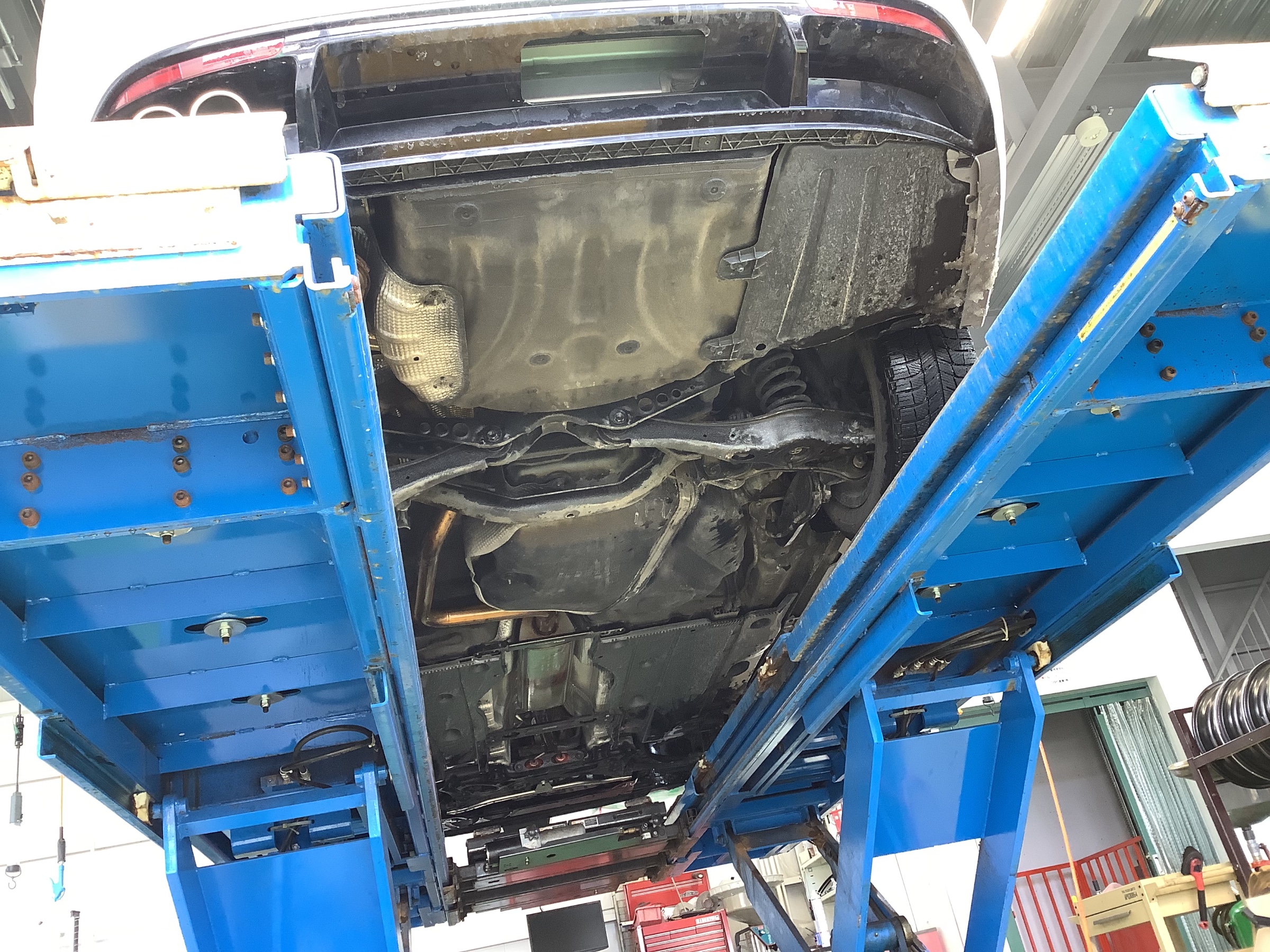 スタッフ撮影です。