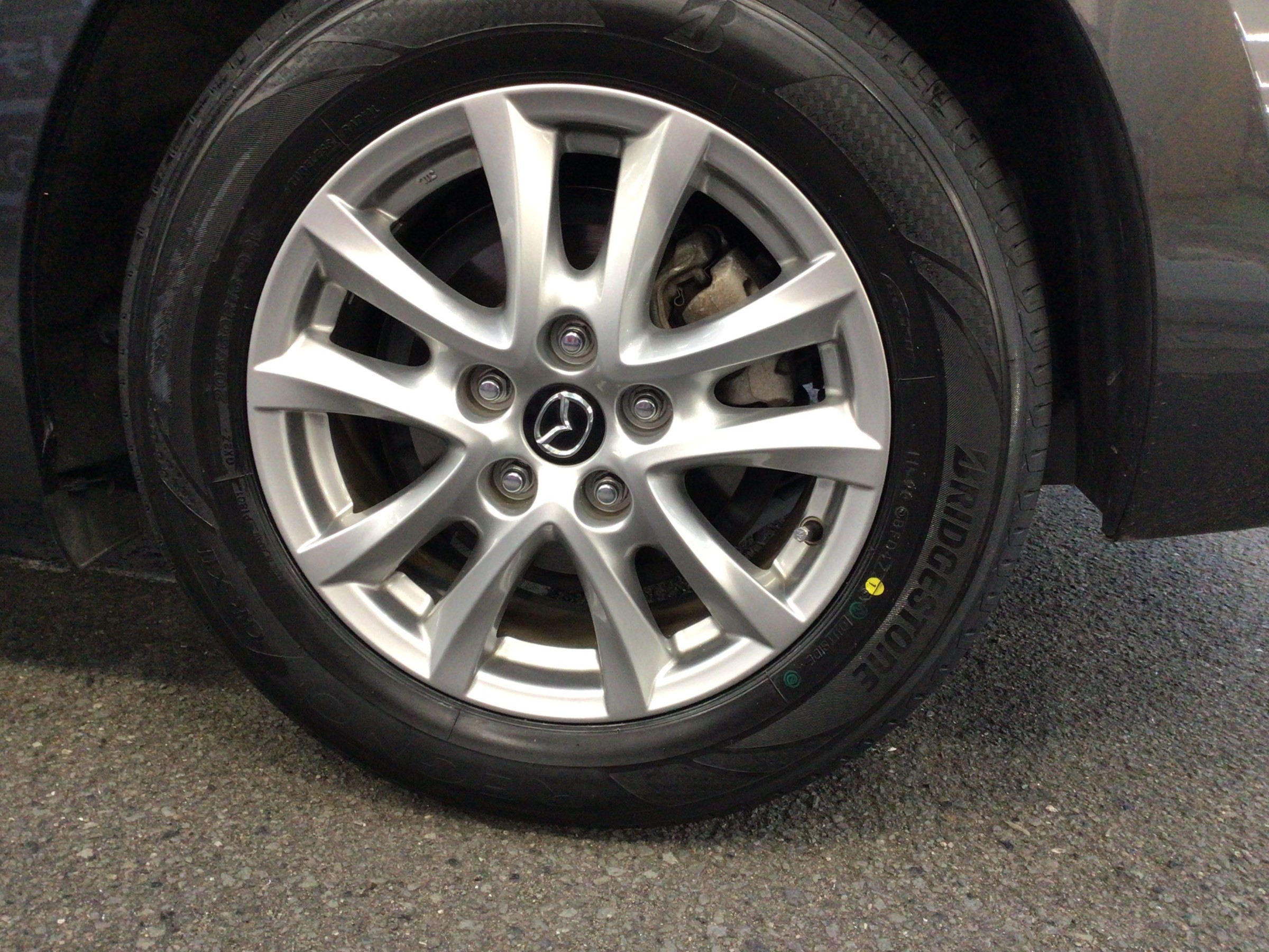 スタッフ撮影分