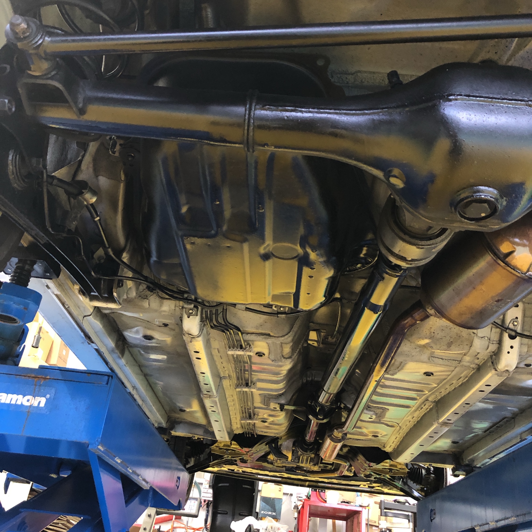 スタッフ撮影です。