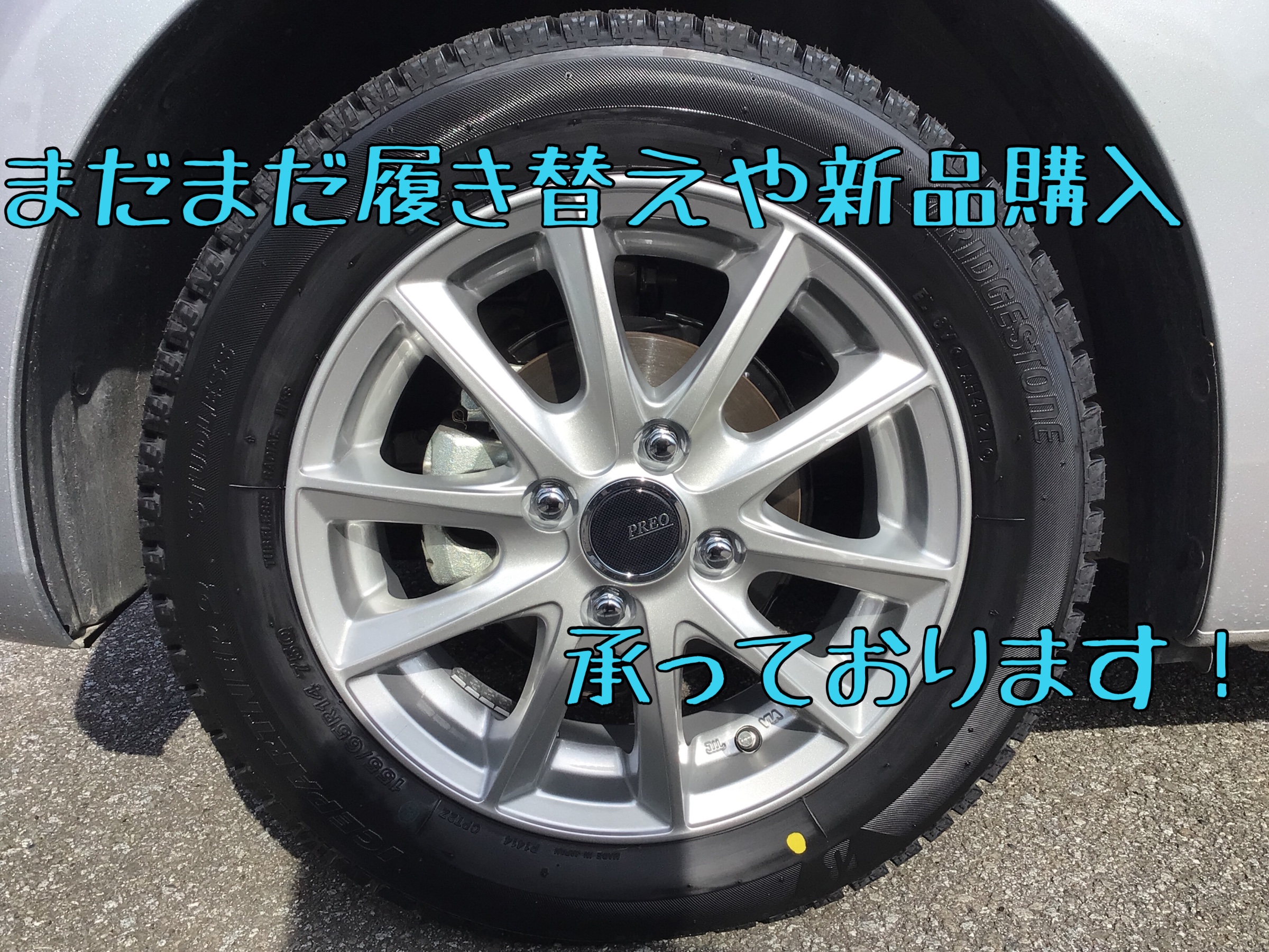 画像はスタッフ撮影、編集です。