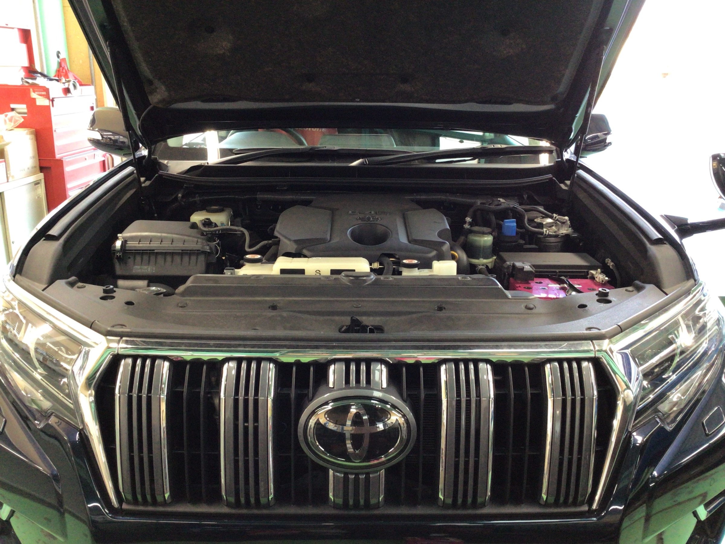 スタッフ撮影分