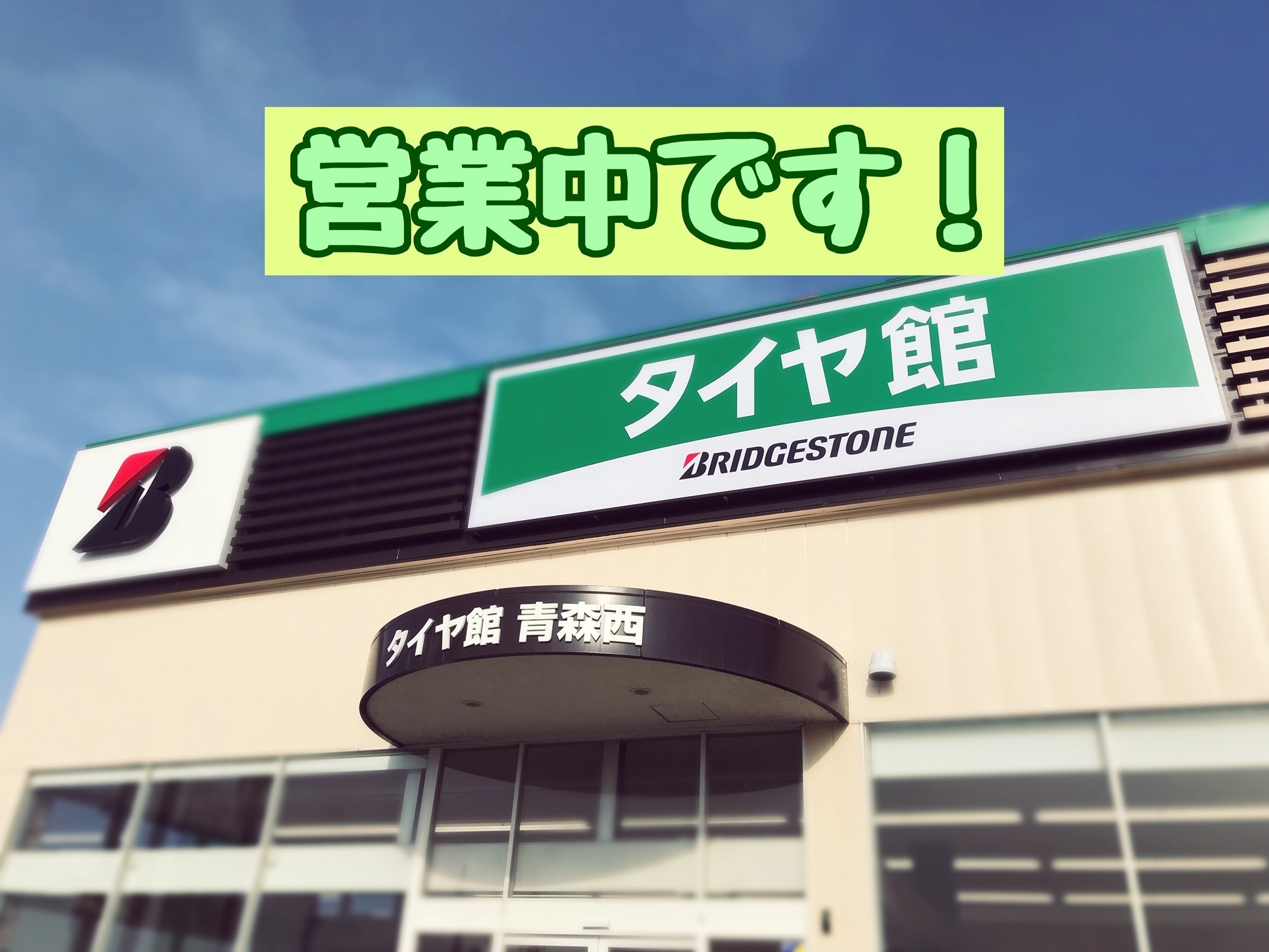 スタッフが撮影加工した画像