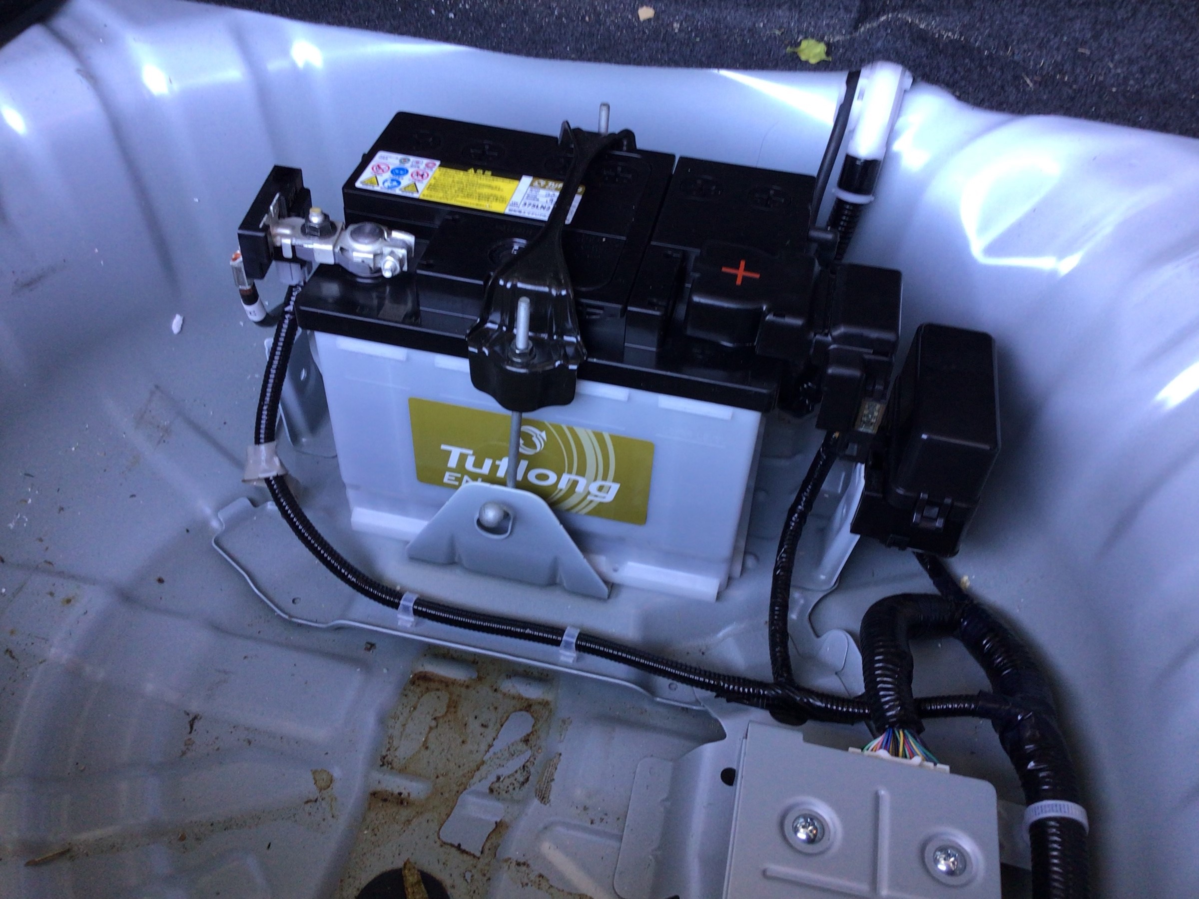 スタッフ撮影分