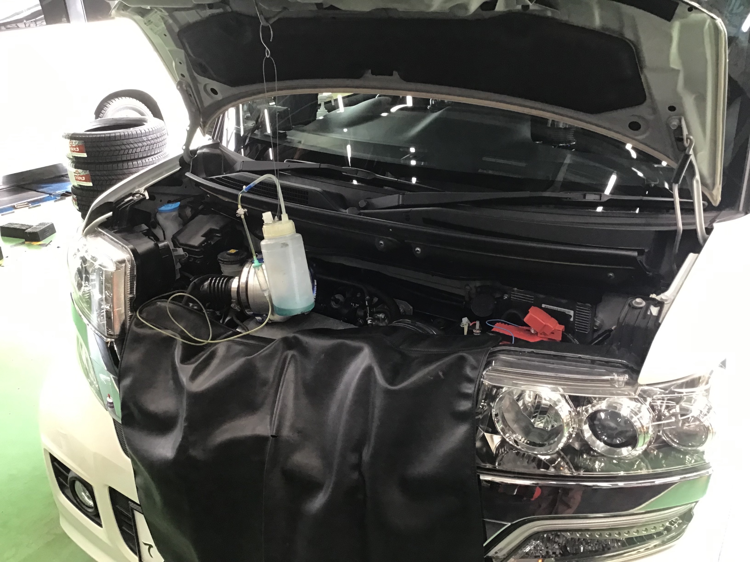 スタッフ撮影画像