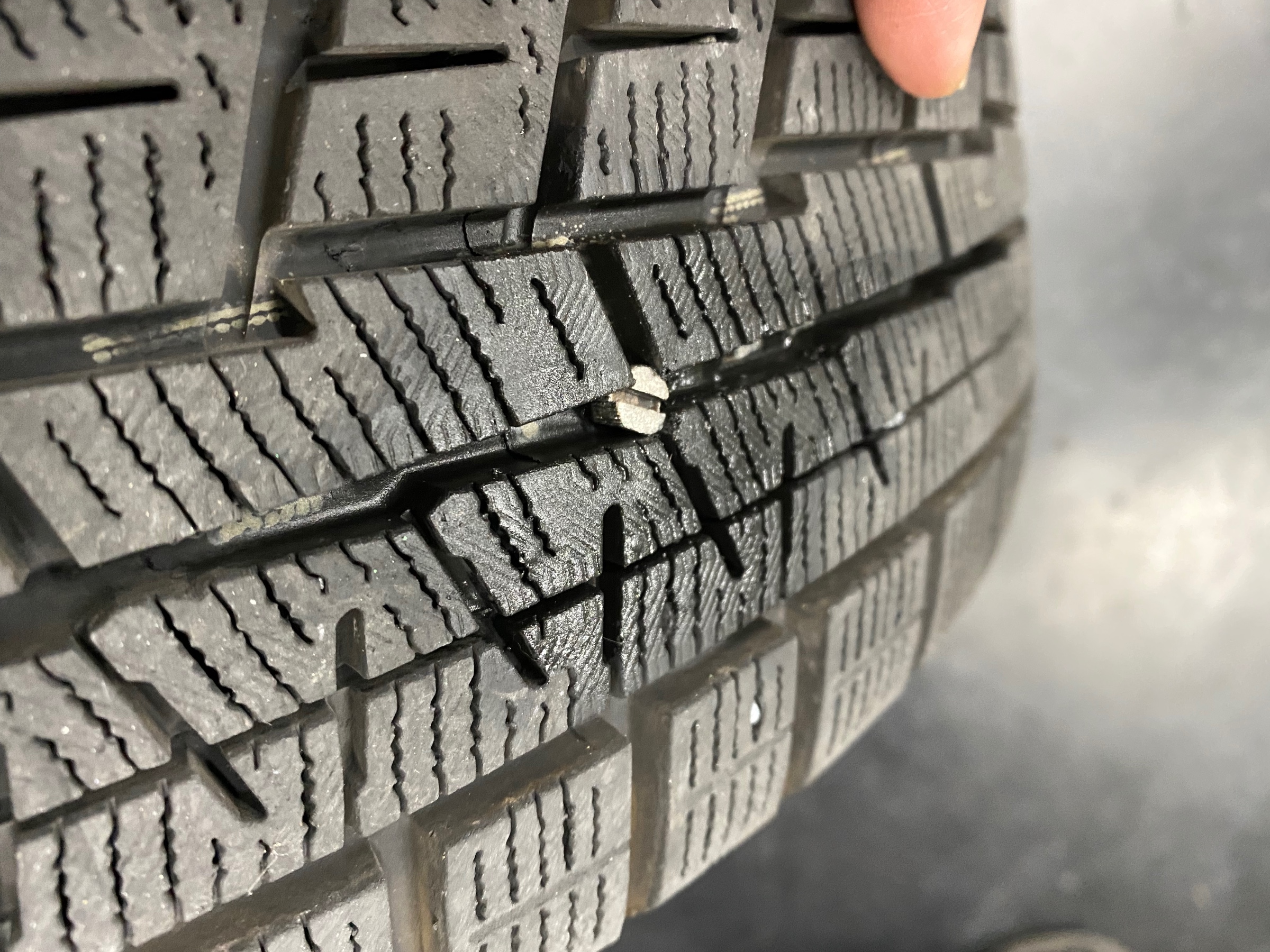 自分が撮影してます