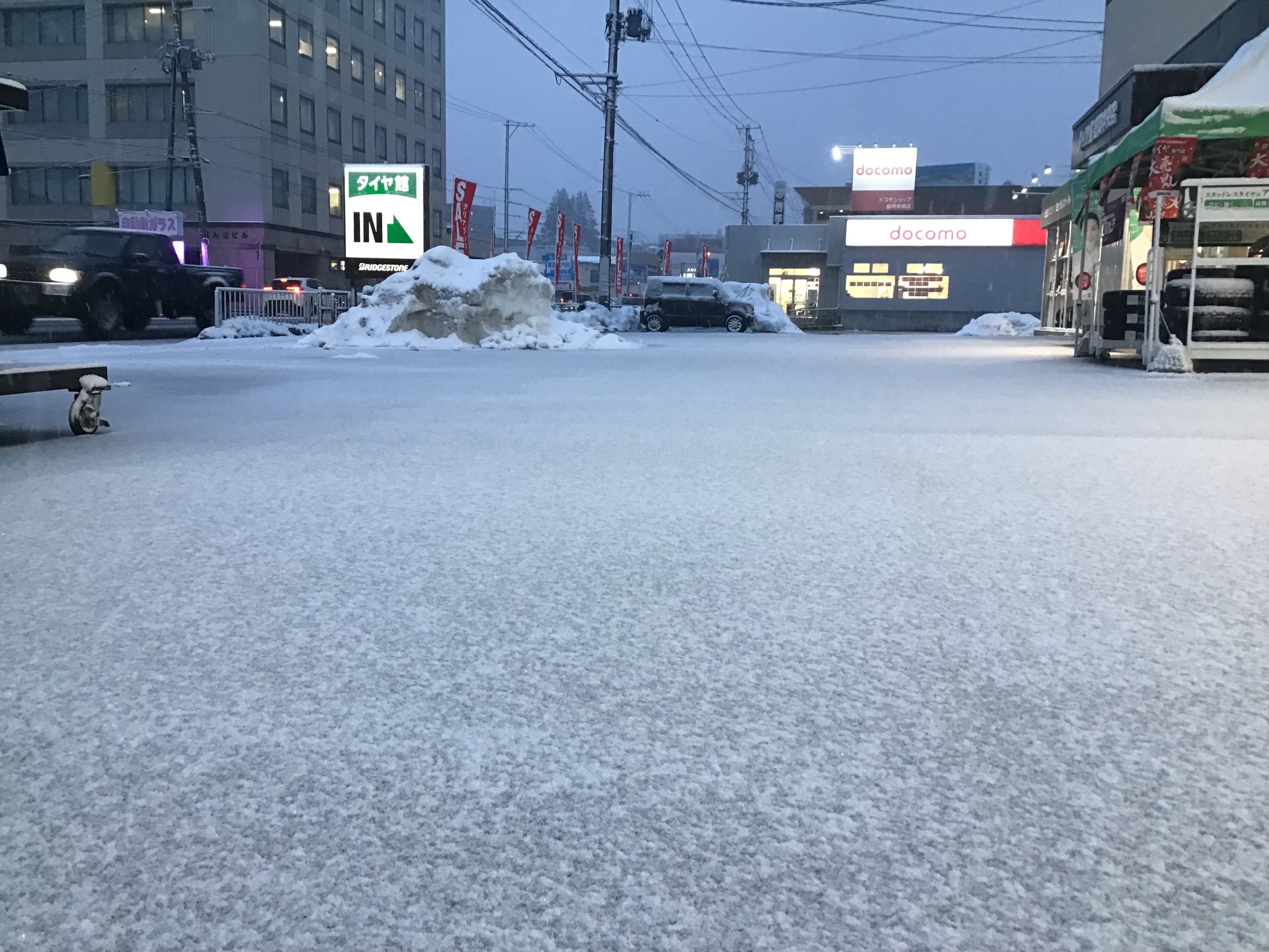 スタッフ撮影です。