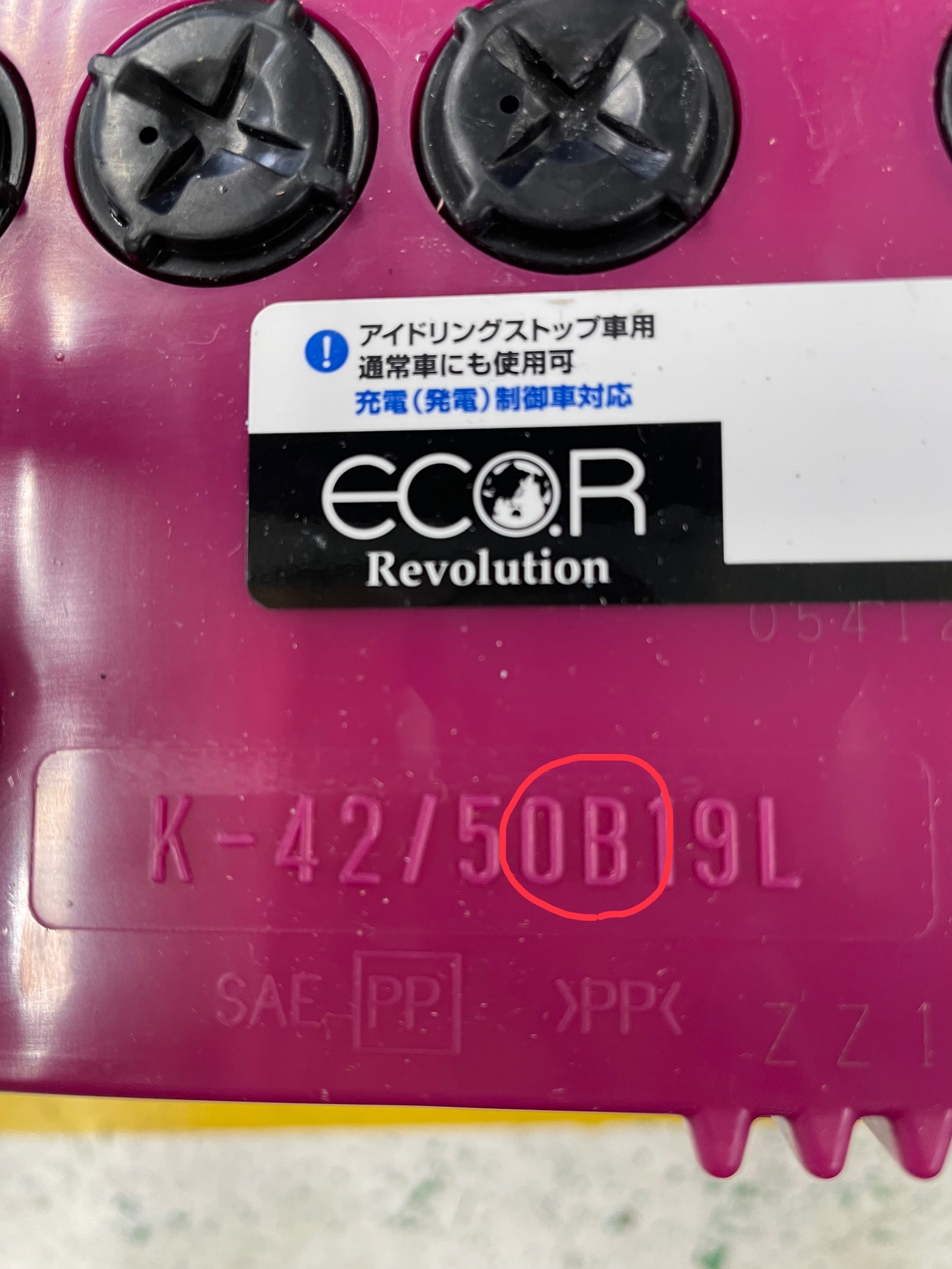 スタッフ撮影です