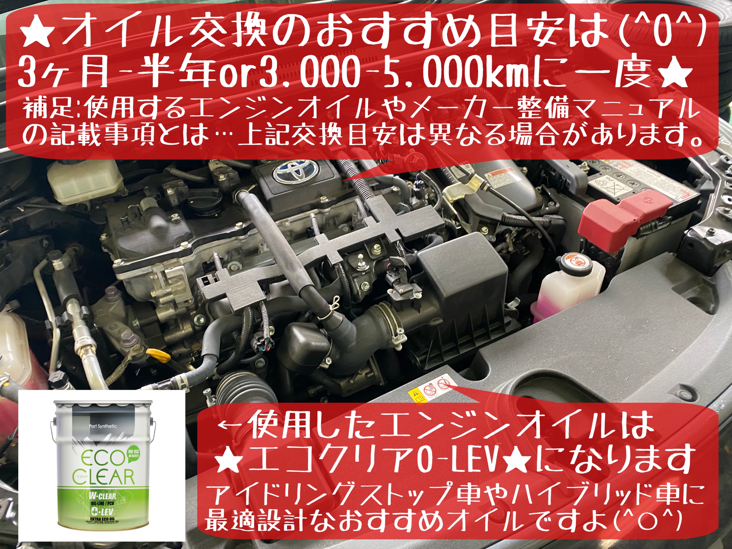 トヨタ　カローラツーリング　エンジンオイル交換　オイルフィルター交換　タイヤ館下松