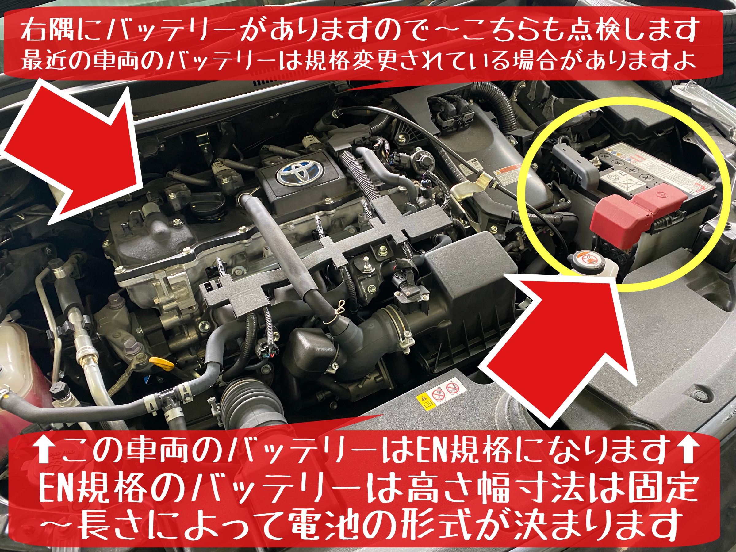 トヨタ　カローラツーリング　エンジンオイル交換　オイルフィルター交換　タイヤ館下松　バッテリー交換