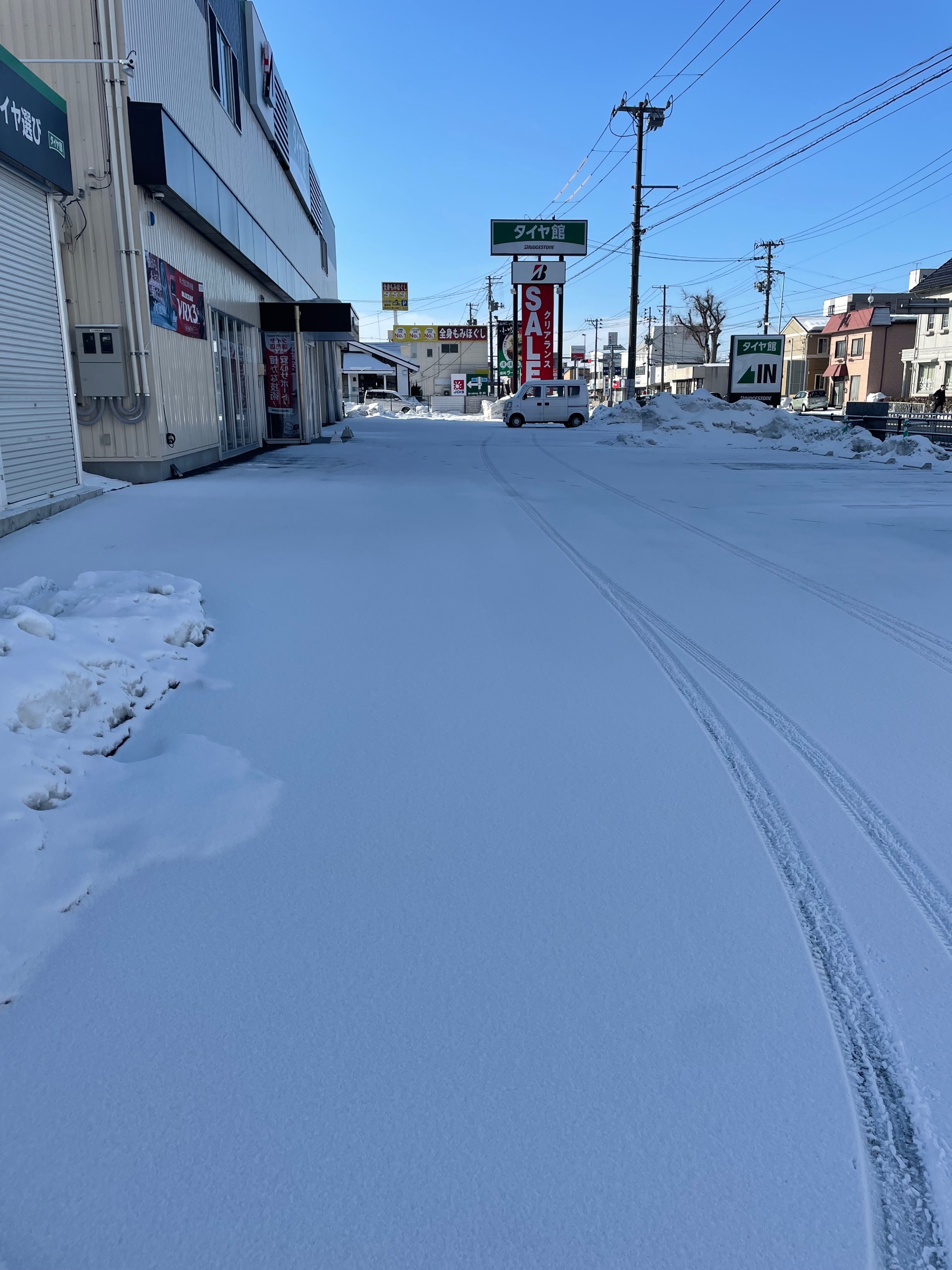 スタッフ撮影です