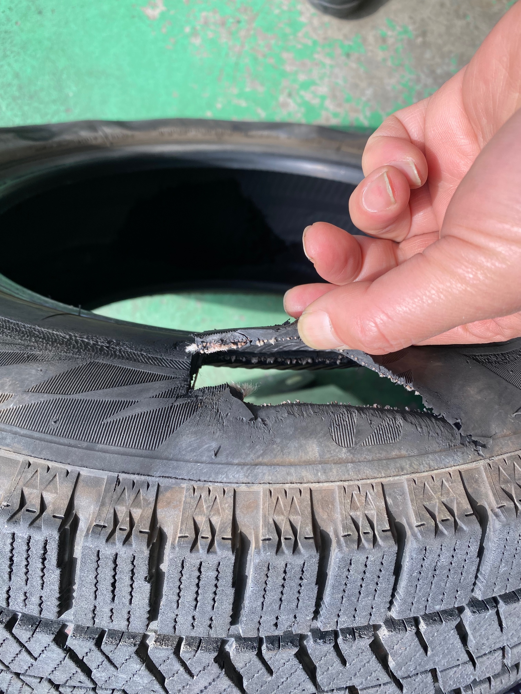 自分が撮影してます