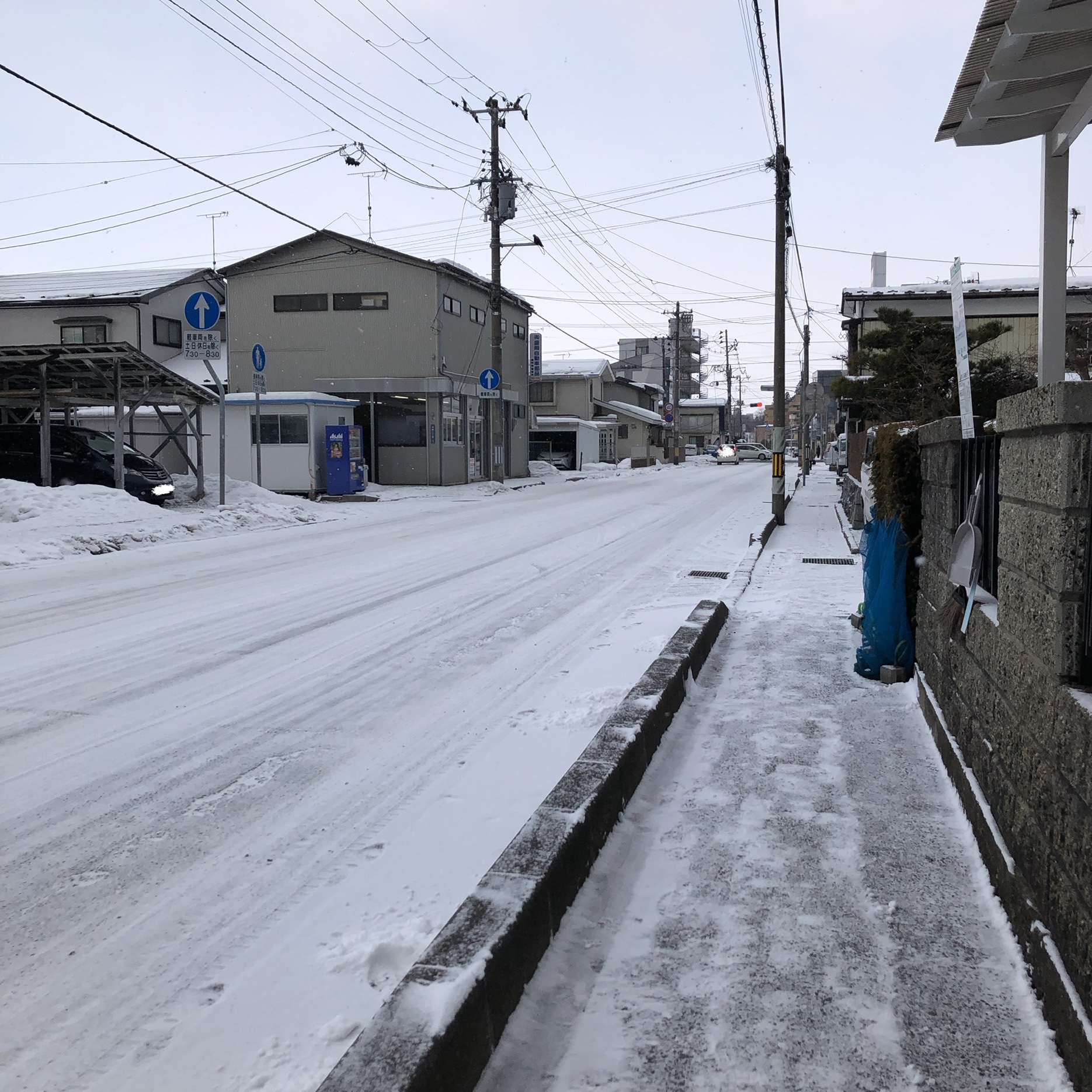 スタッフ撮影です