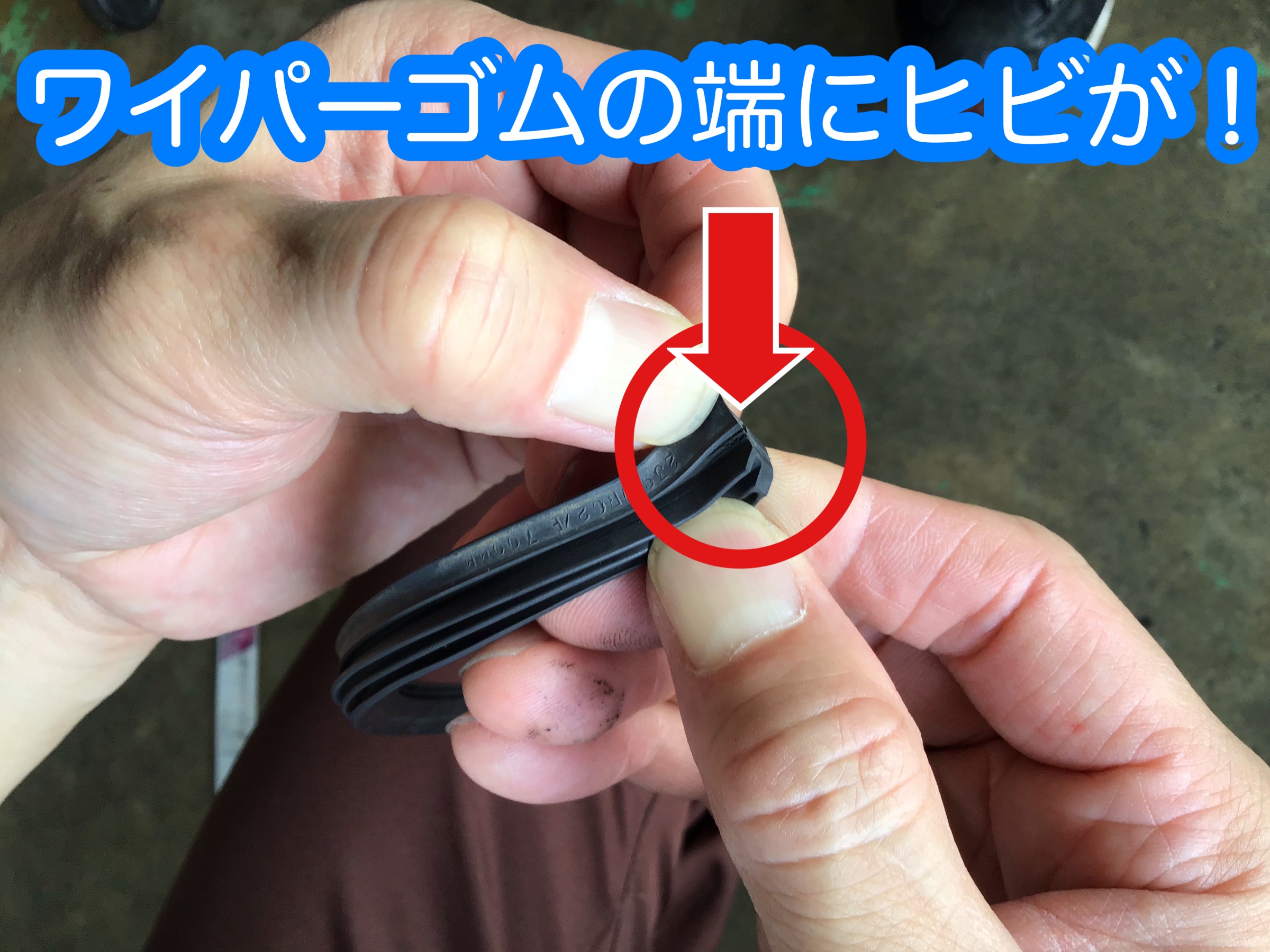 ワイパー交換で視界良好に メンテナンス商品 その他 無料安全点検 サービス事例 タイヤ館 柏崎 新潟県のタイヤ カー用品ショップ タイヤからはじまる トータルカーメンテナンス タイヤ館グループ
