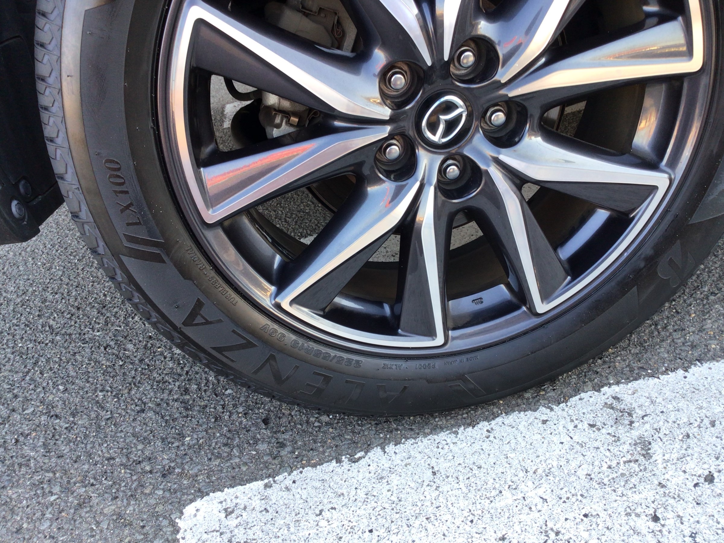 スタッフ撮影分