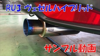 動画