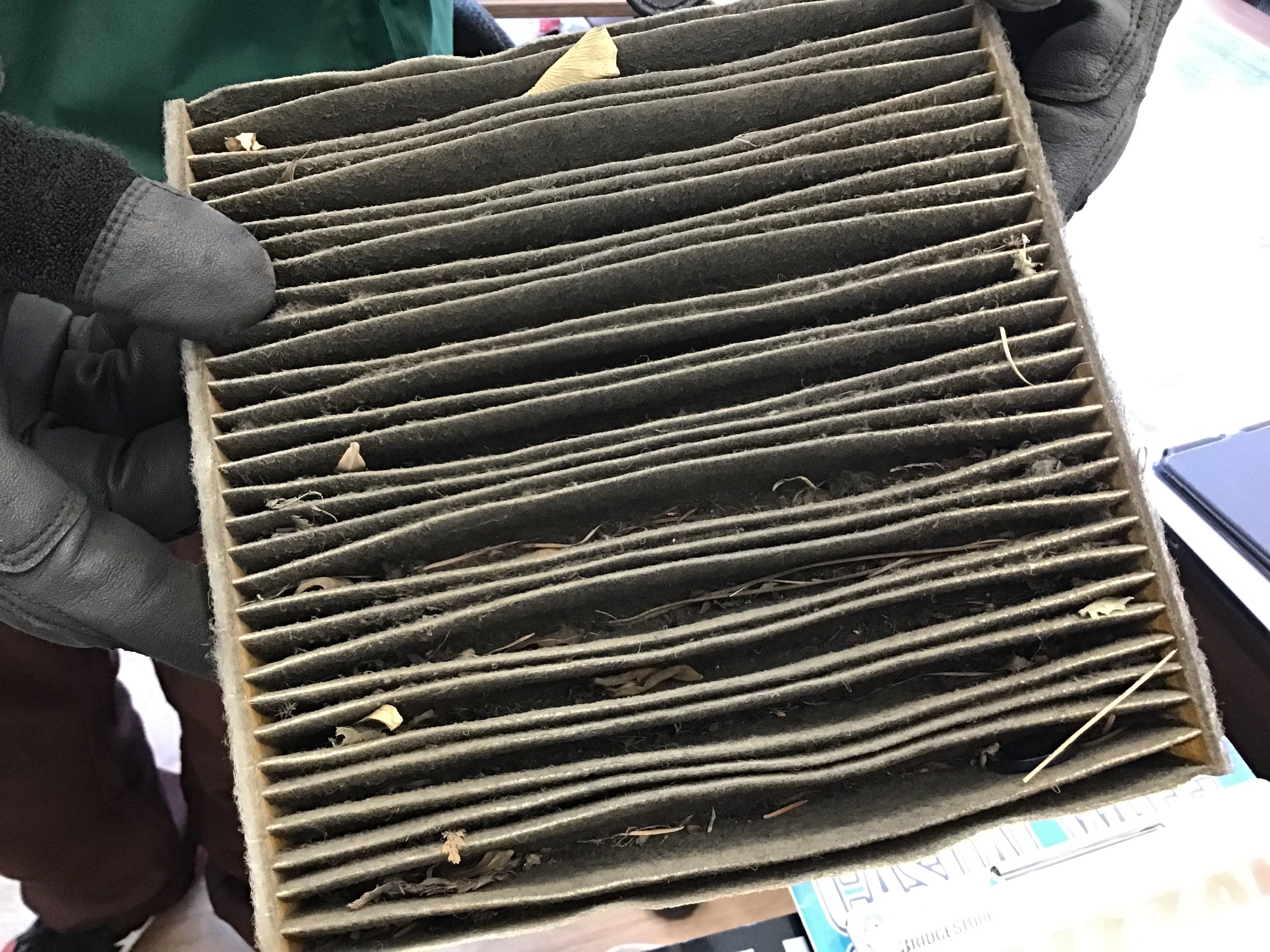 スタッフ撮影です