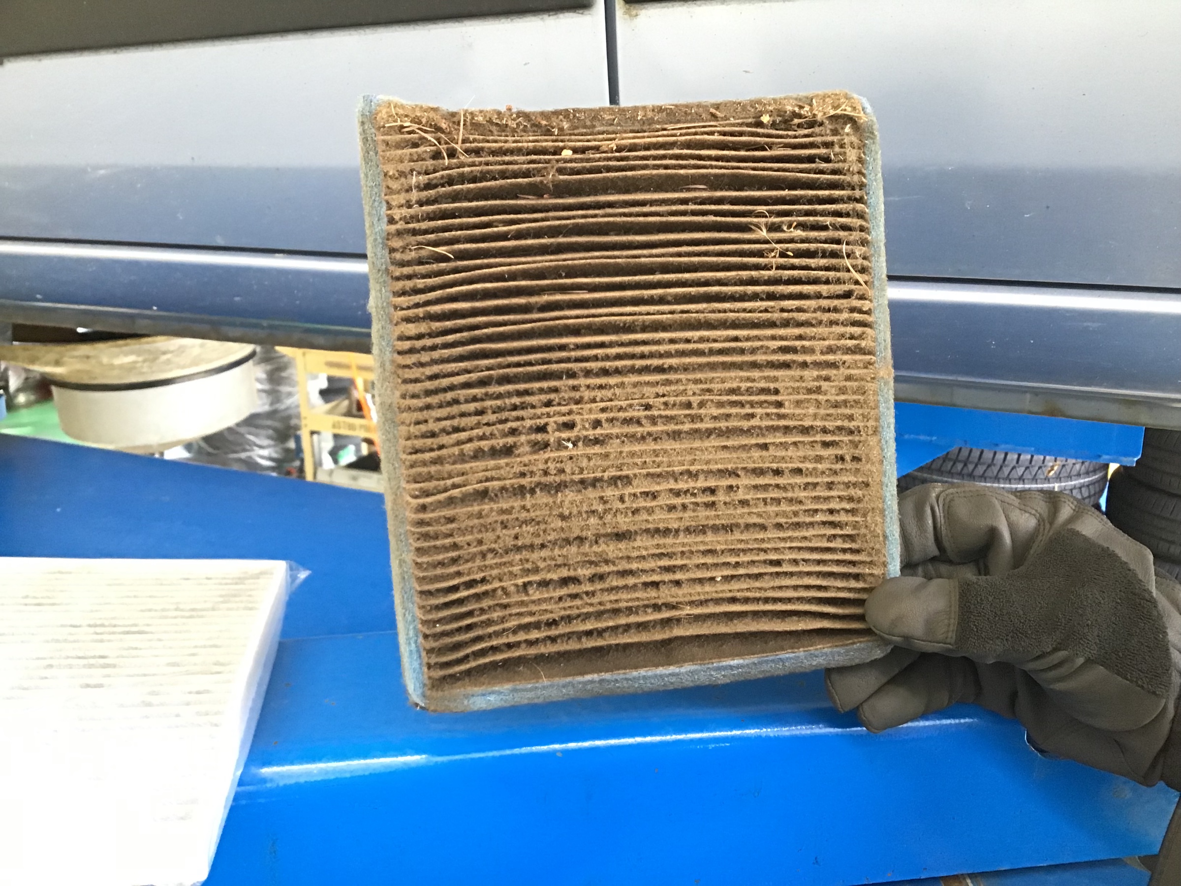 スタッフ撮影です