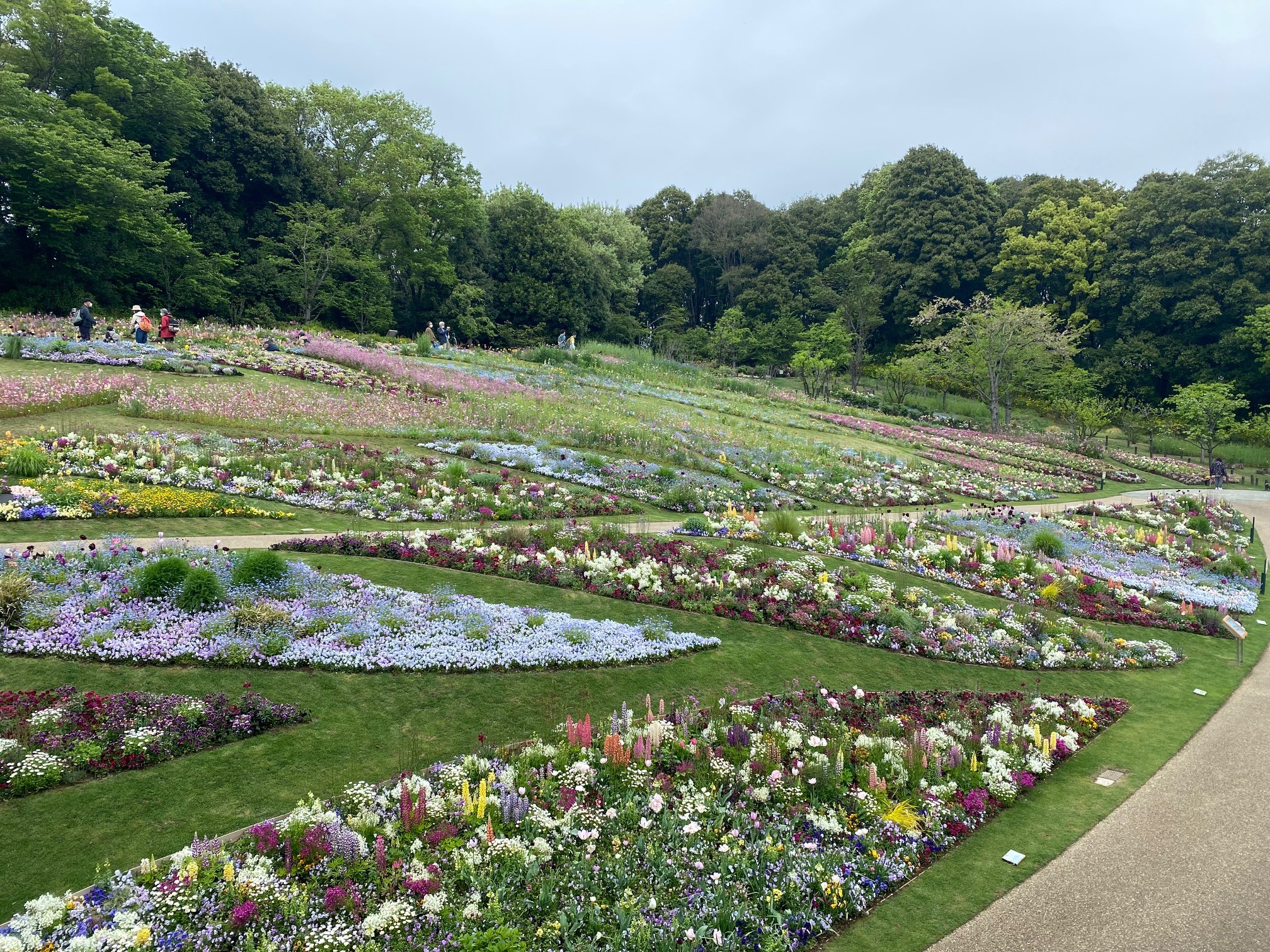 横浜ガーデンネックレス22 里山ガーデン スタッフ日記 タイヤ館 瀬谷 神奈川県のタイヤ カー用品ショップ タイヤからはじまる トータルカーメンテナンス タイヤ館グループ