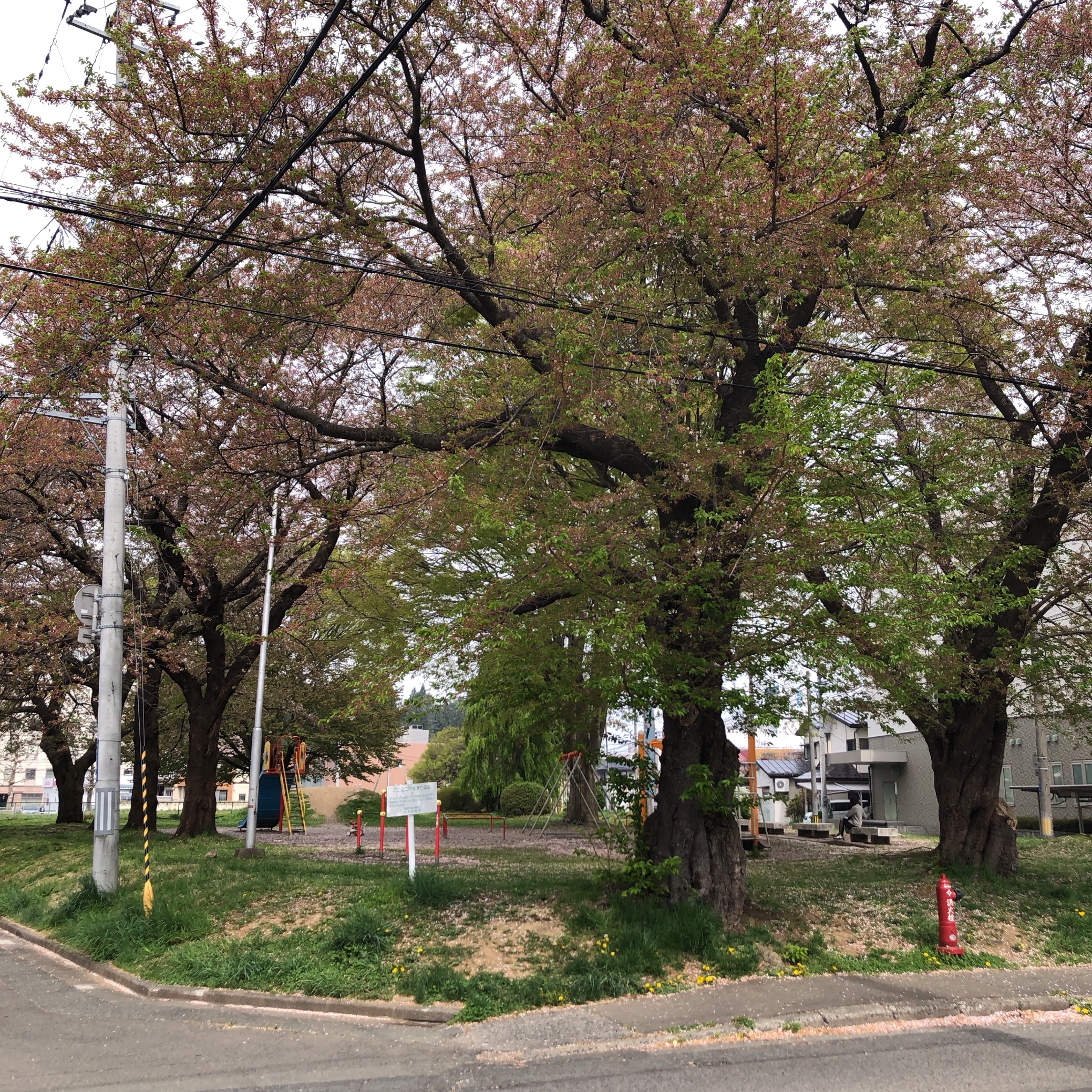 スタッフ撮影です