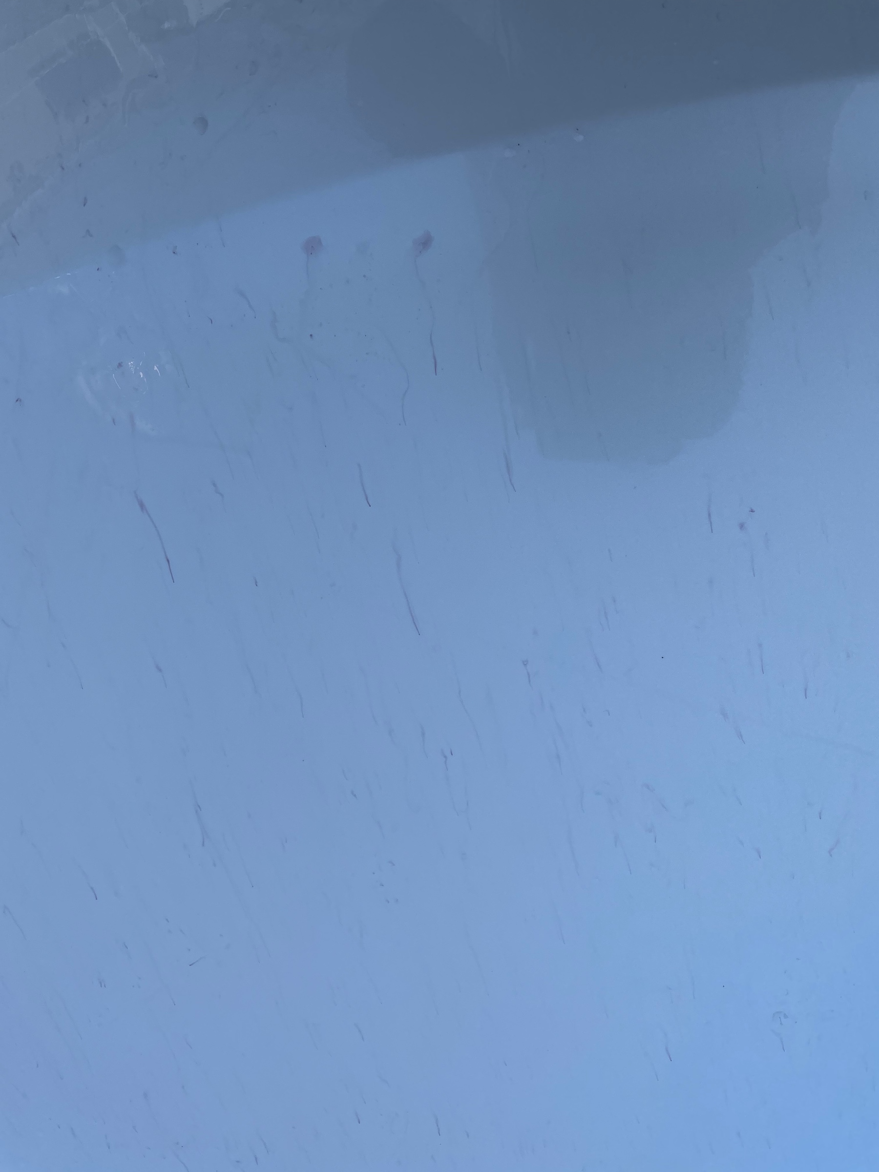 鉄粉が付いている所が色が変化します