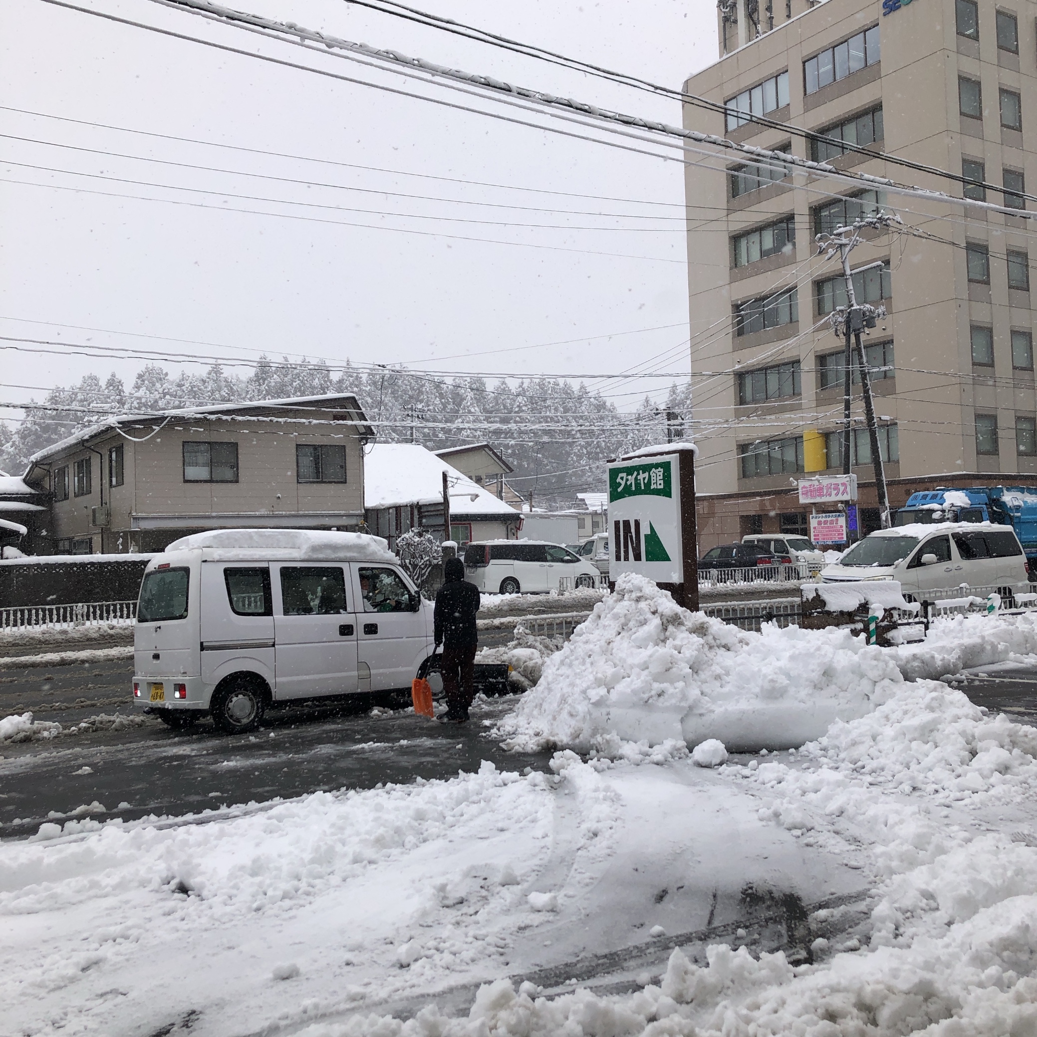 スタッフ撮影です