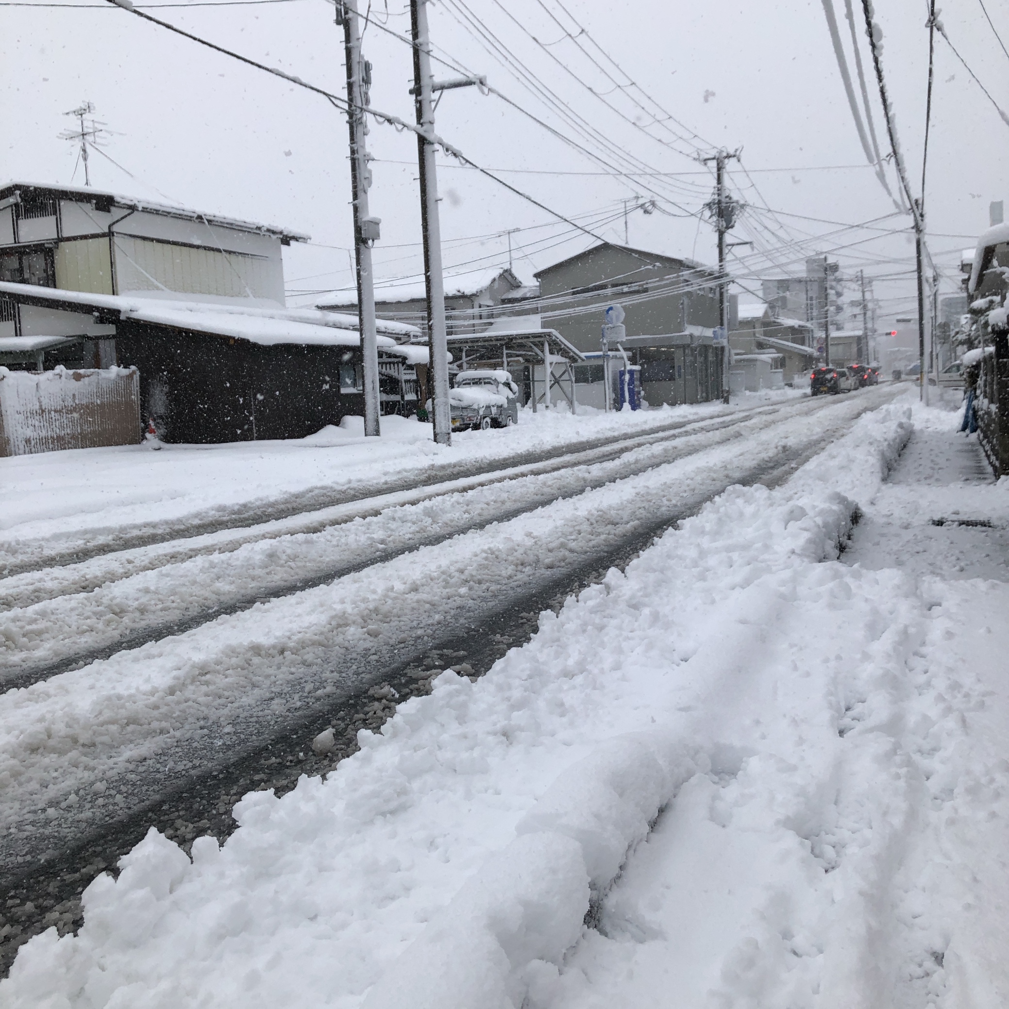 スタッフ撮影です