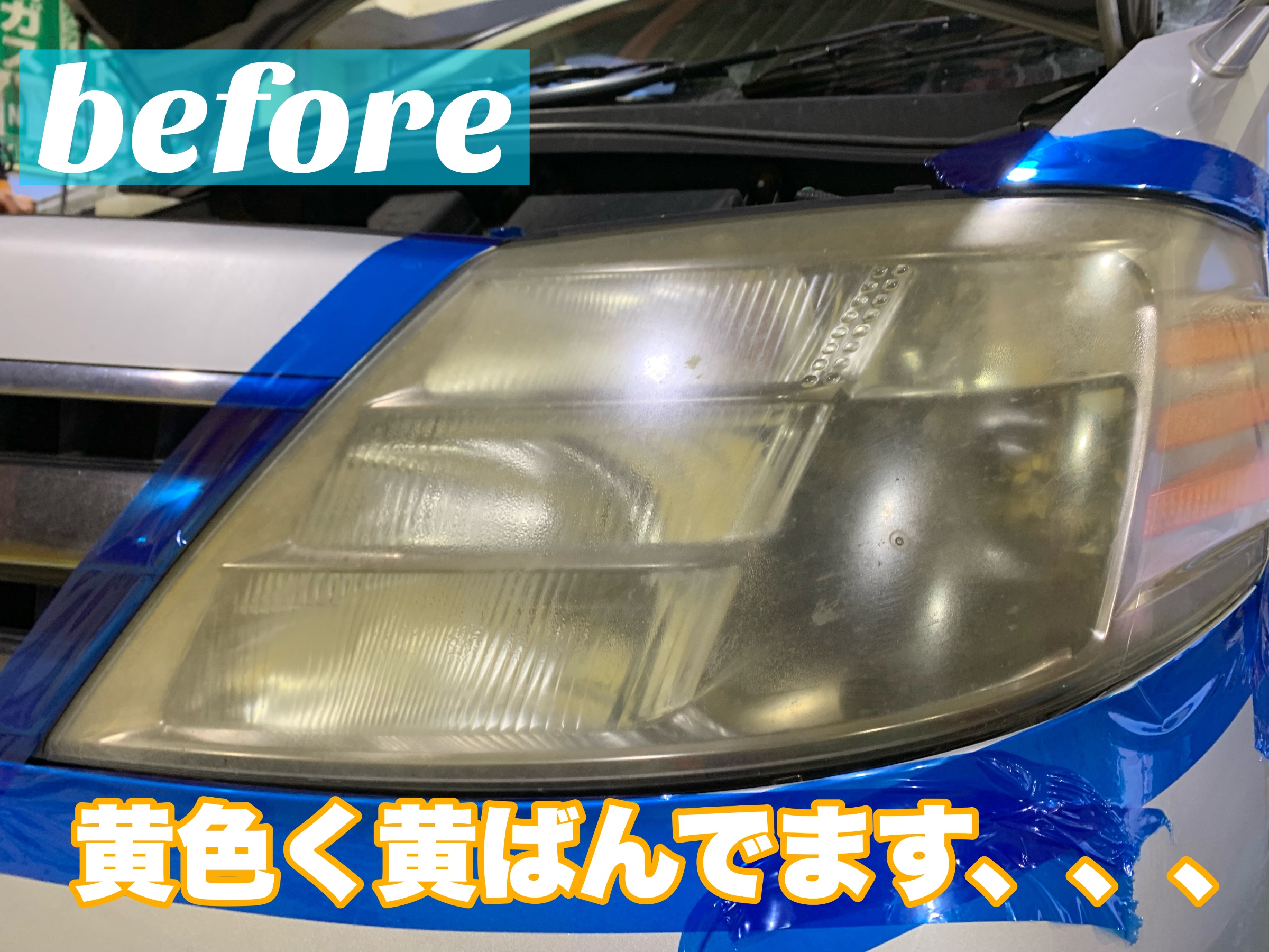 スタッフが撮影加工した画像