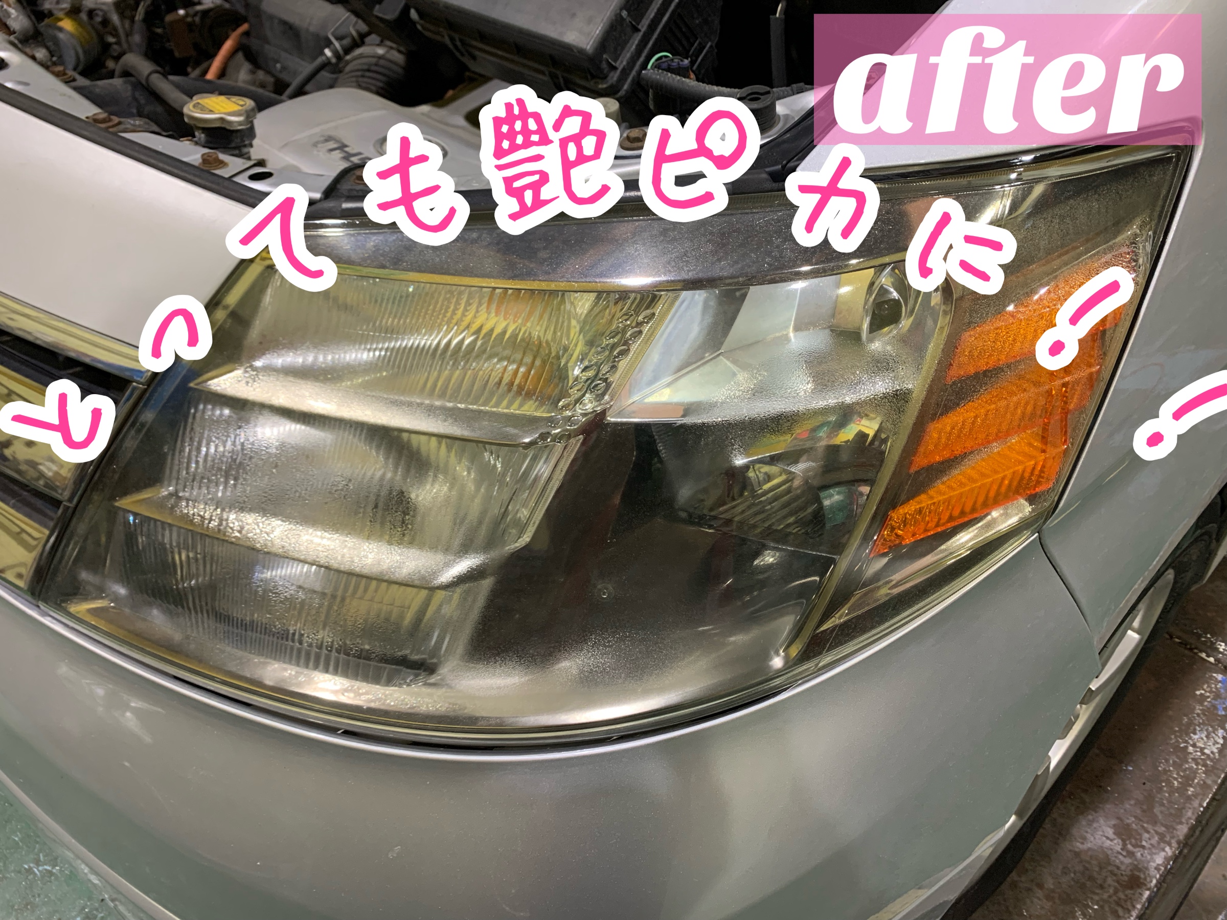 スタッフが撮影加工した画像