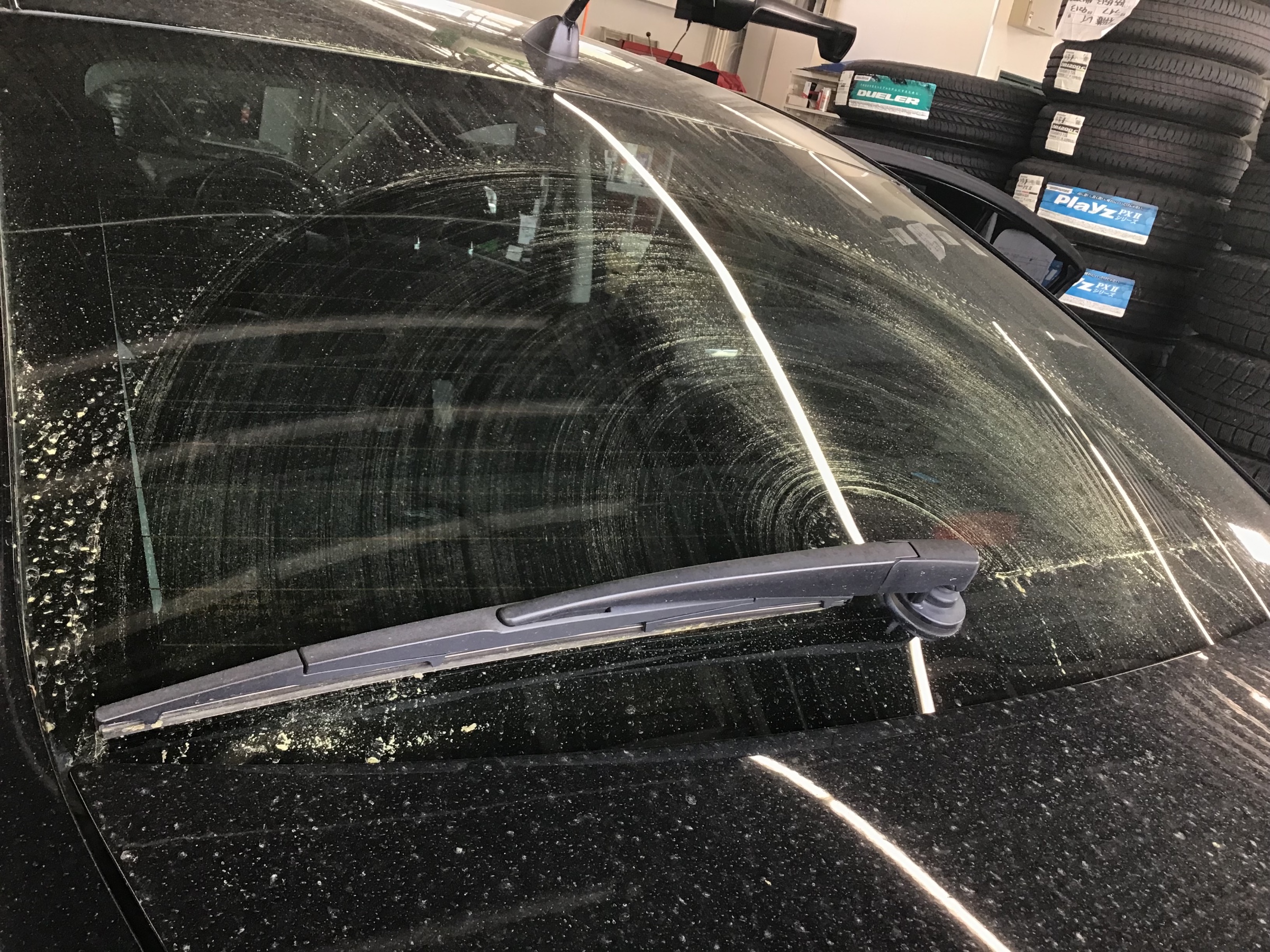 スタッフ撮影です