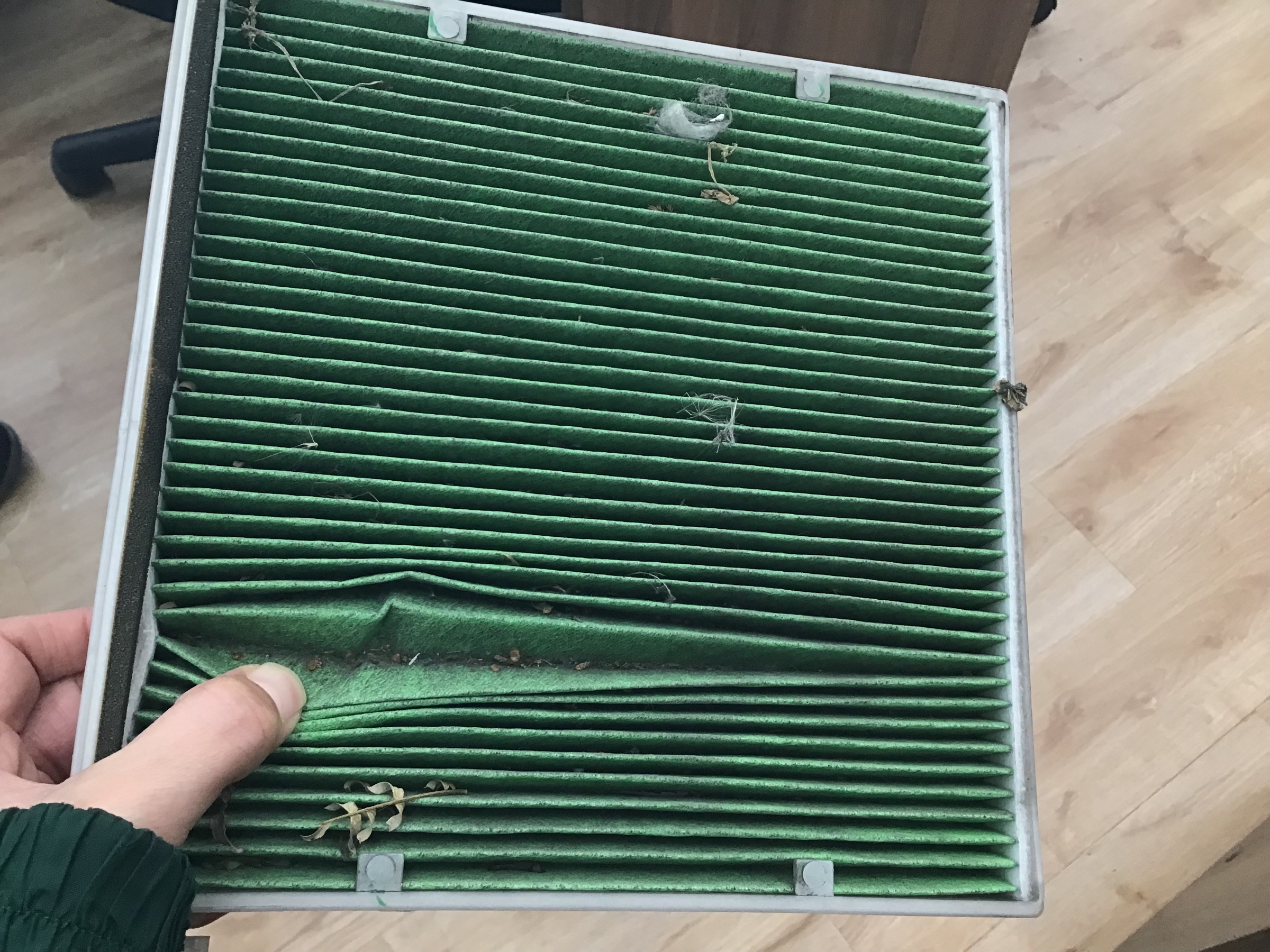 スタッフ撮影です。