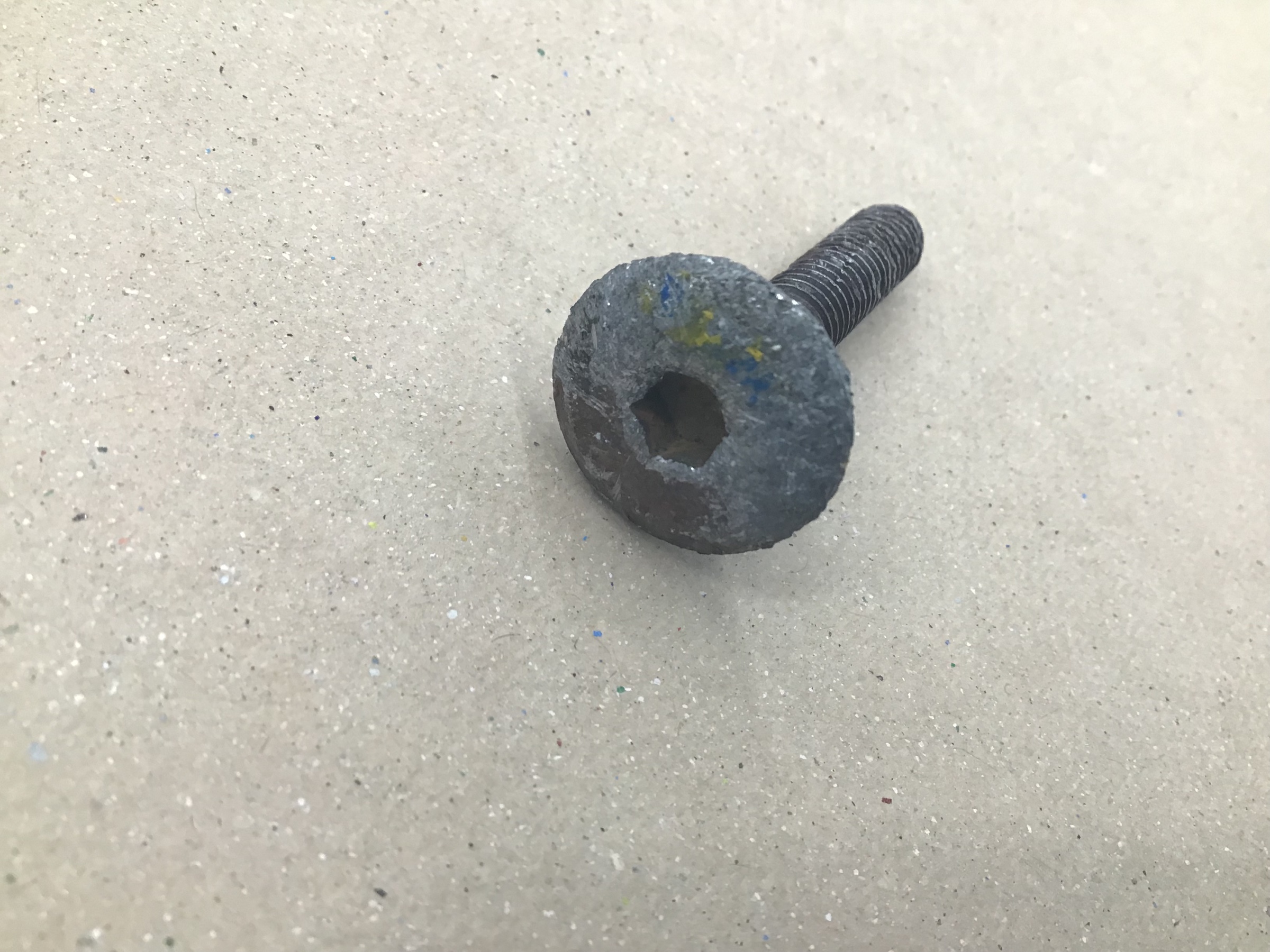 スタッフ撮影です