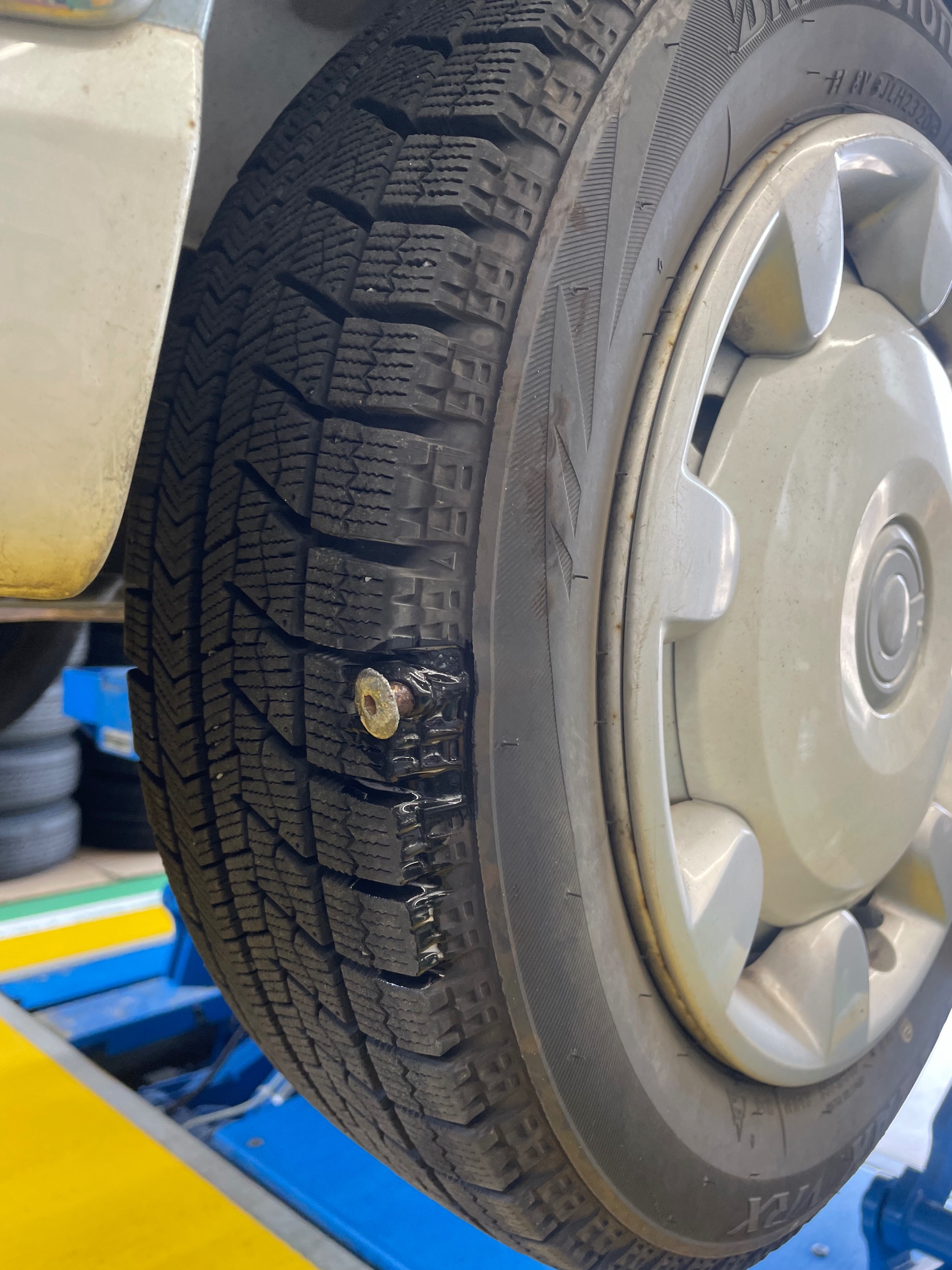 スタッフ撮影です