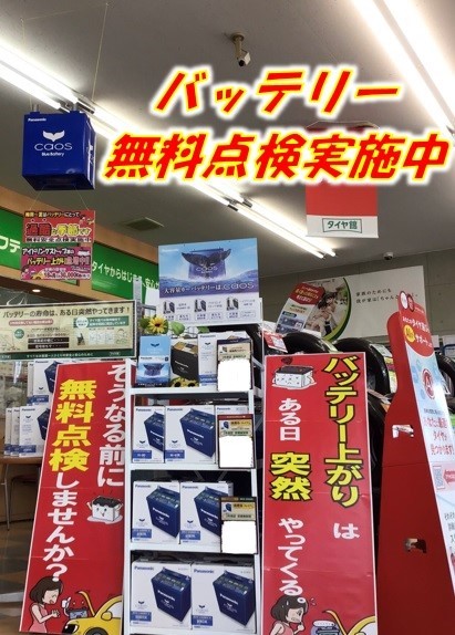店内展示の案内