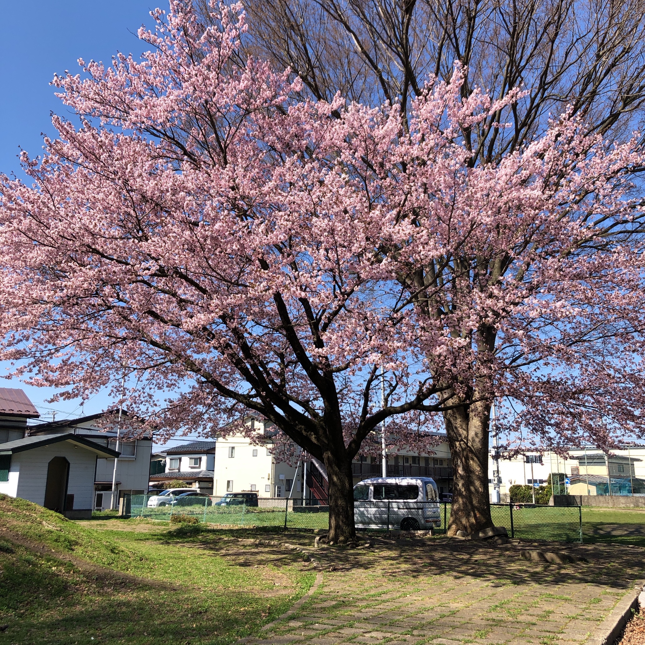 スタッフ撮影です