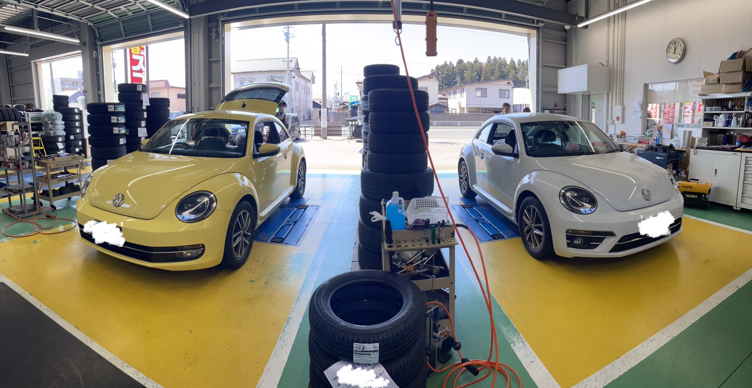 スタッフ撮影です