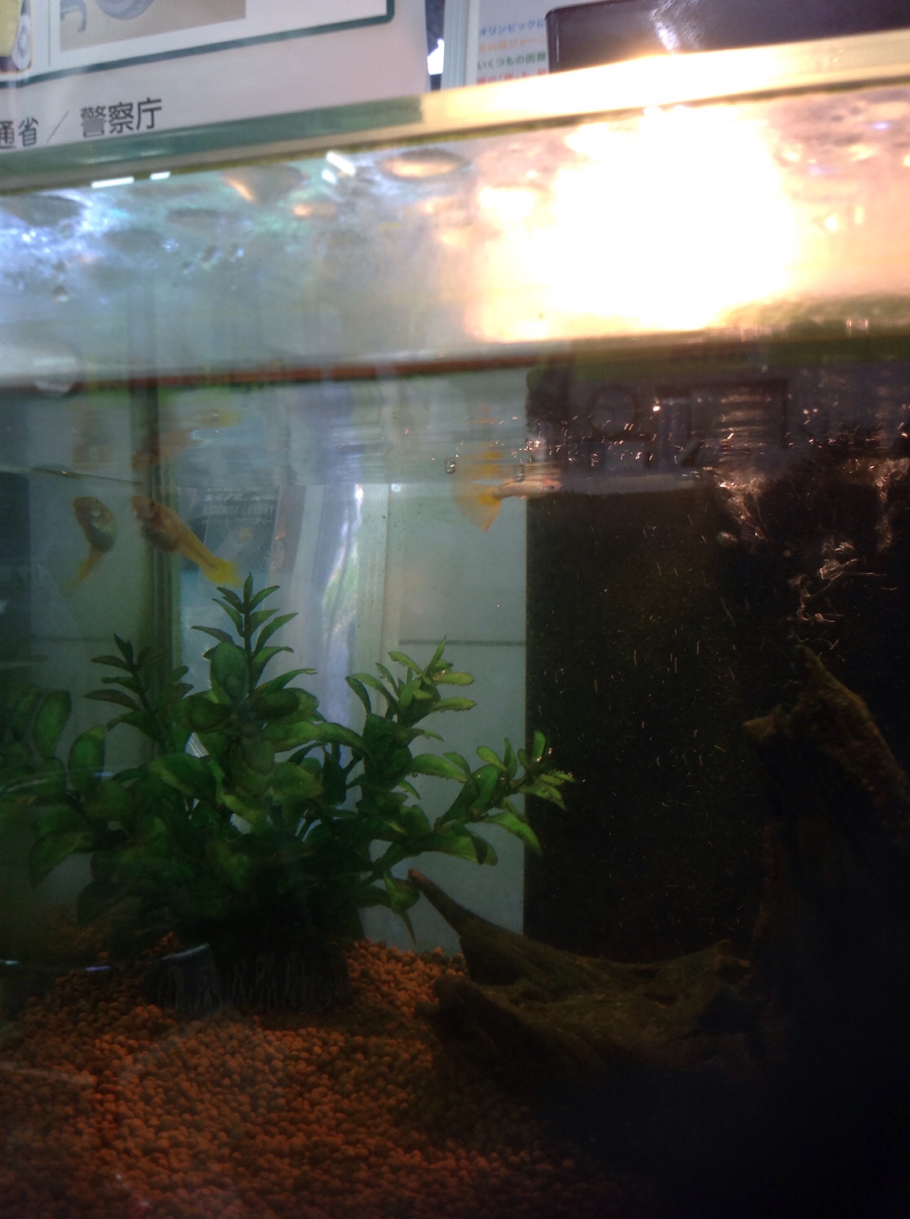 たくさんたべてる！