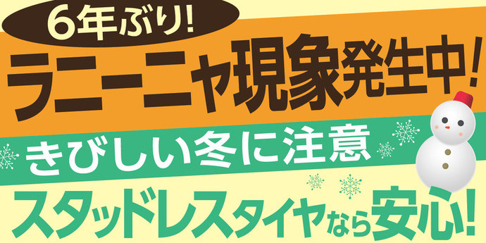 雪が降る回数はそんなに多くはない成田市でも、スタッドレス