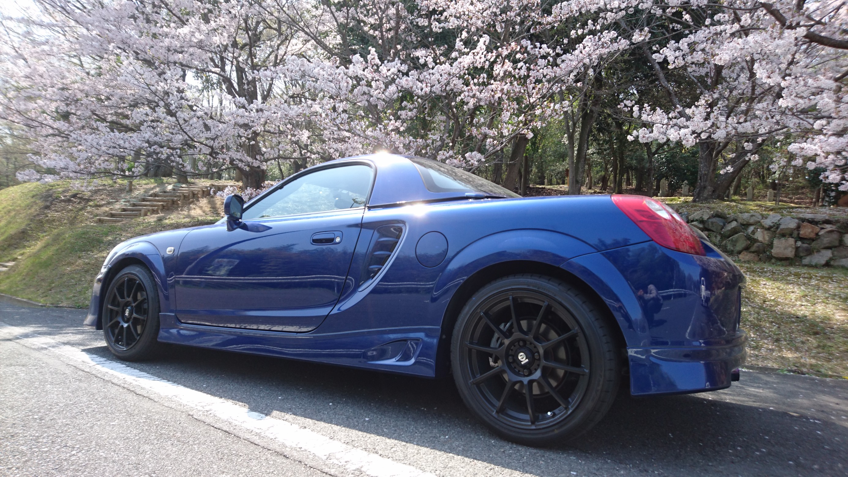 スタッフが撮影した画像です。