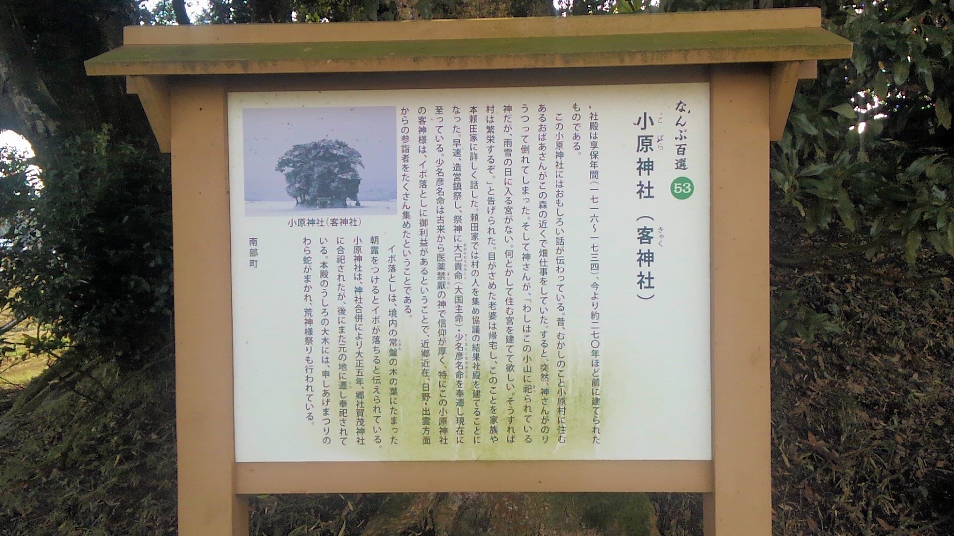 トトロの森 スタッフ日記 タイヤ館 倉吉 タイヤからはじまる トータルカーメンテナンス タイヤ館グループ