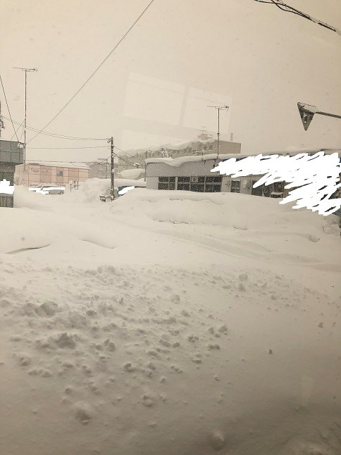 スタッフ撮影です