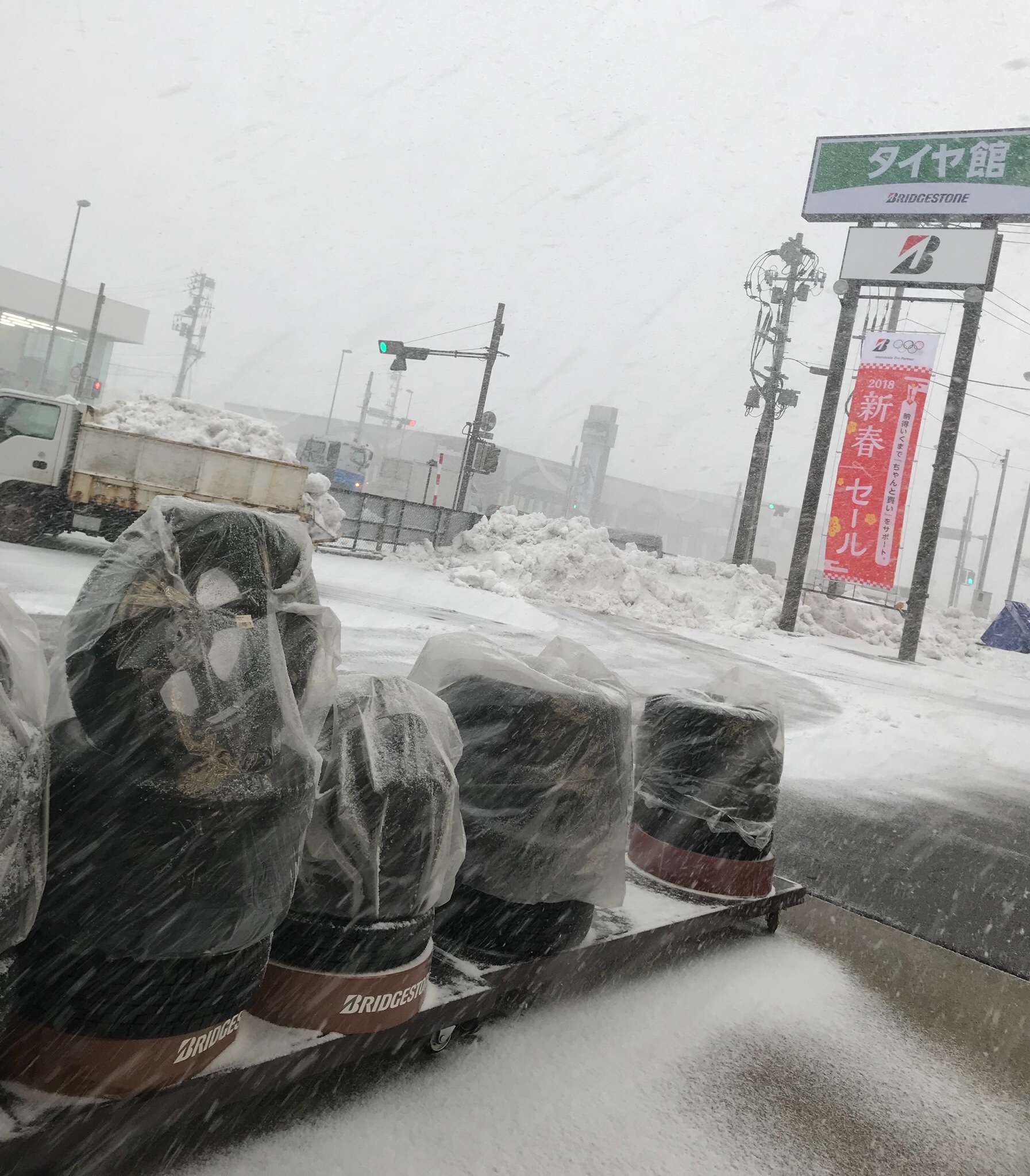 スタッフが撮影した画像です。